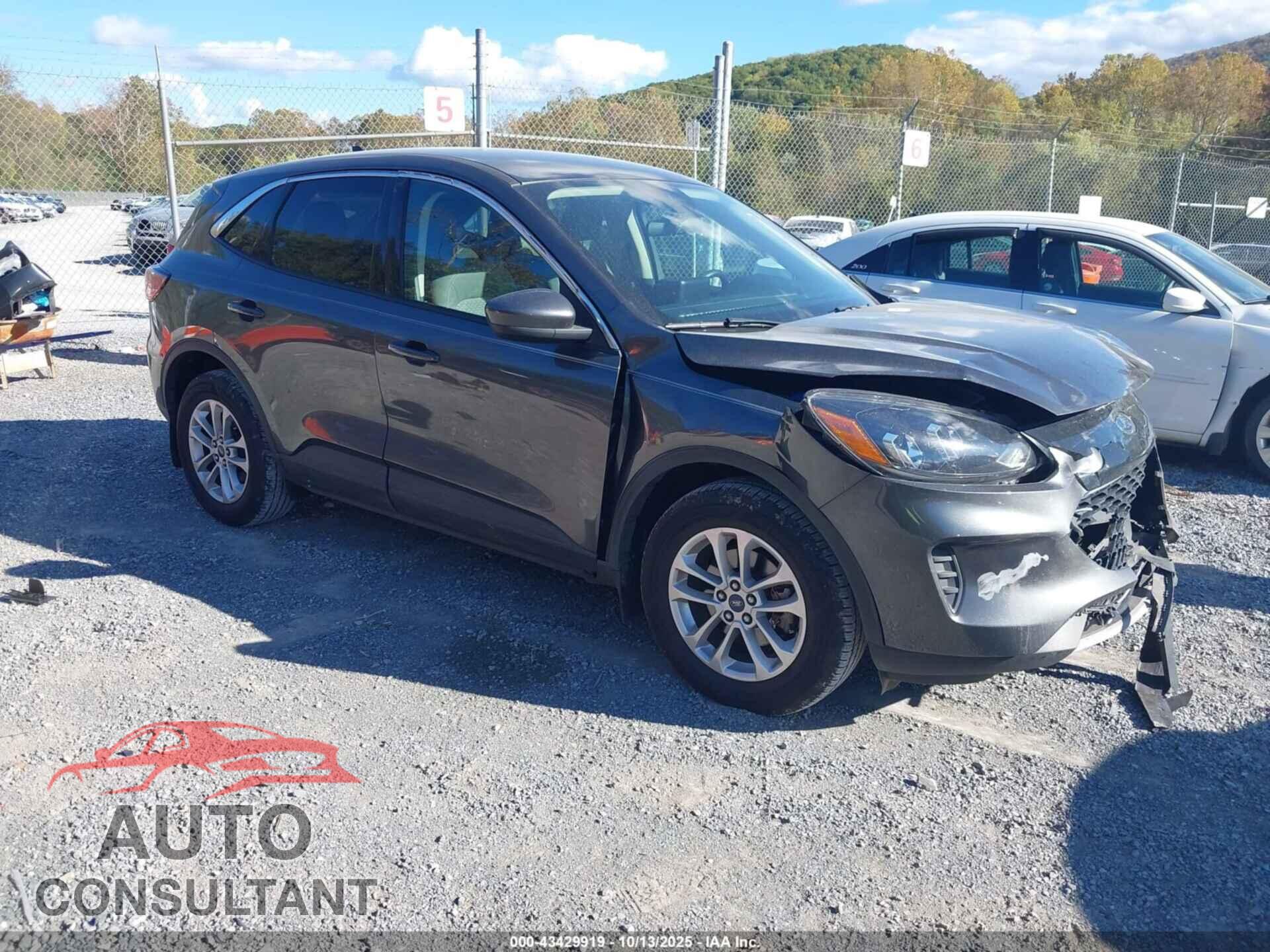 FORD ESCAPE 2020 - 1FMCU9G61LUA96813