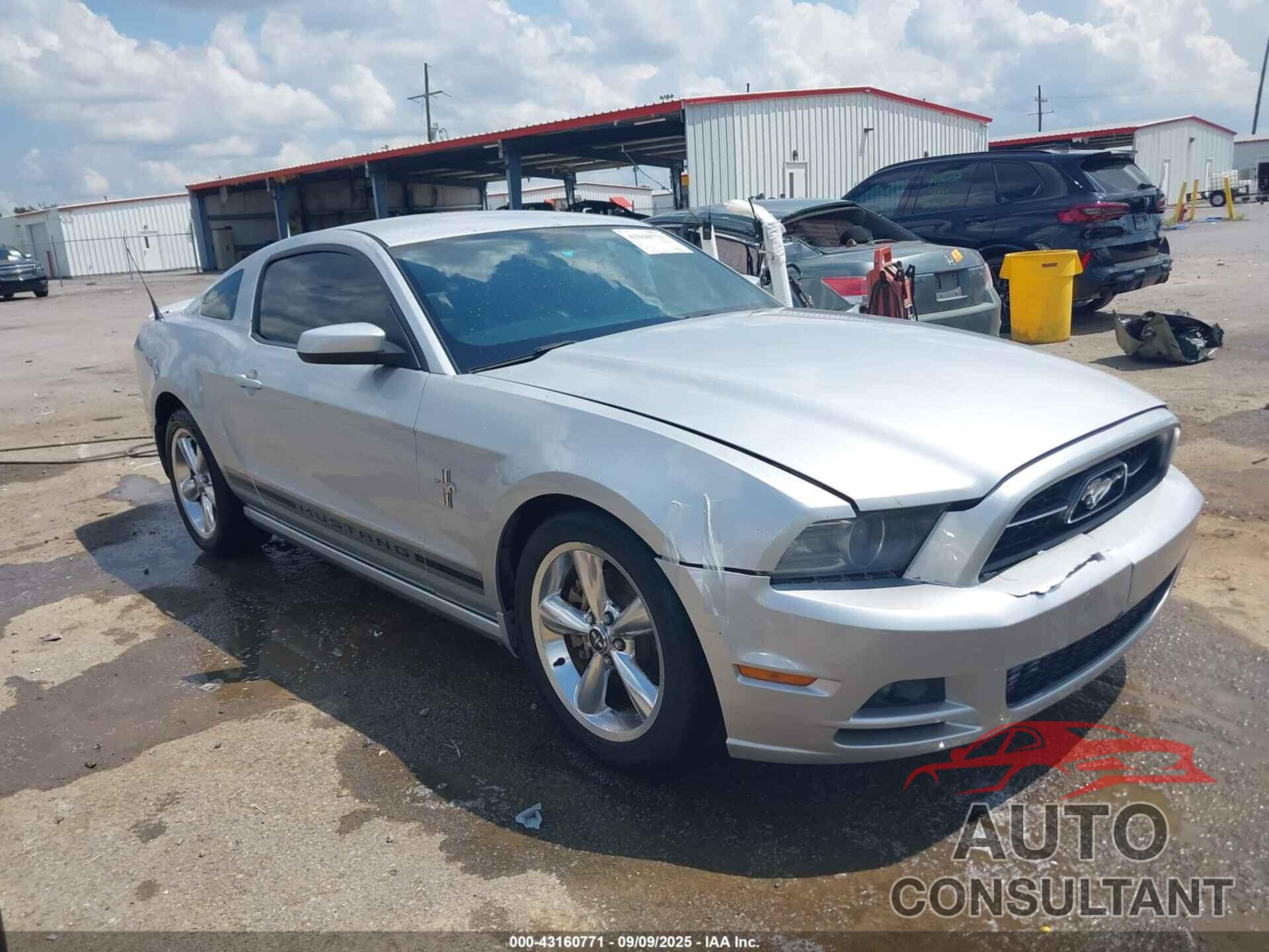FORD MUSTANG 2013 - 1ZVBP8AMXD5252221