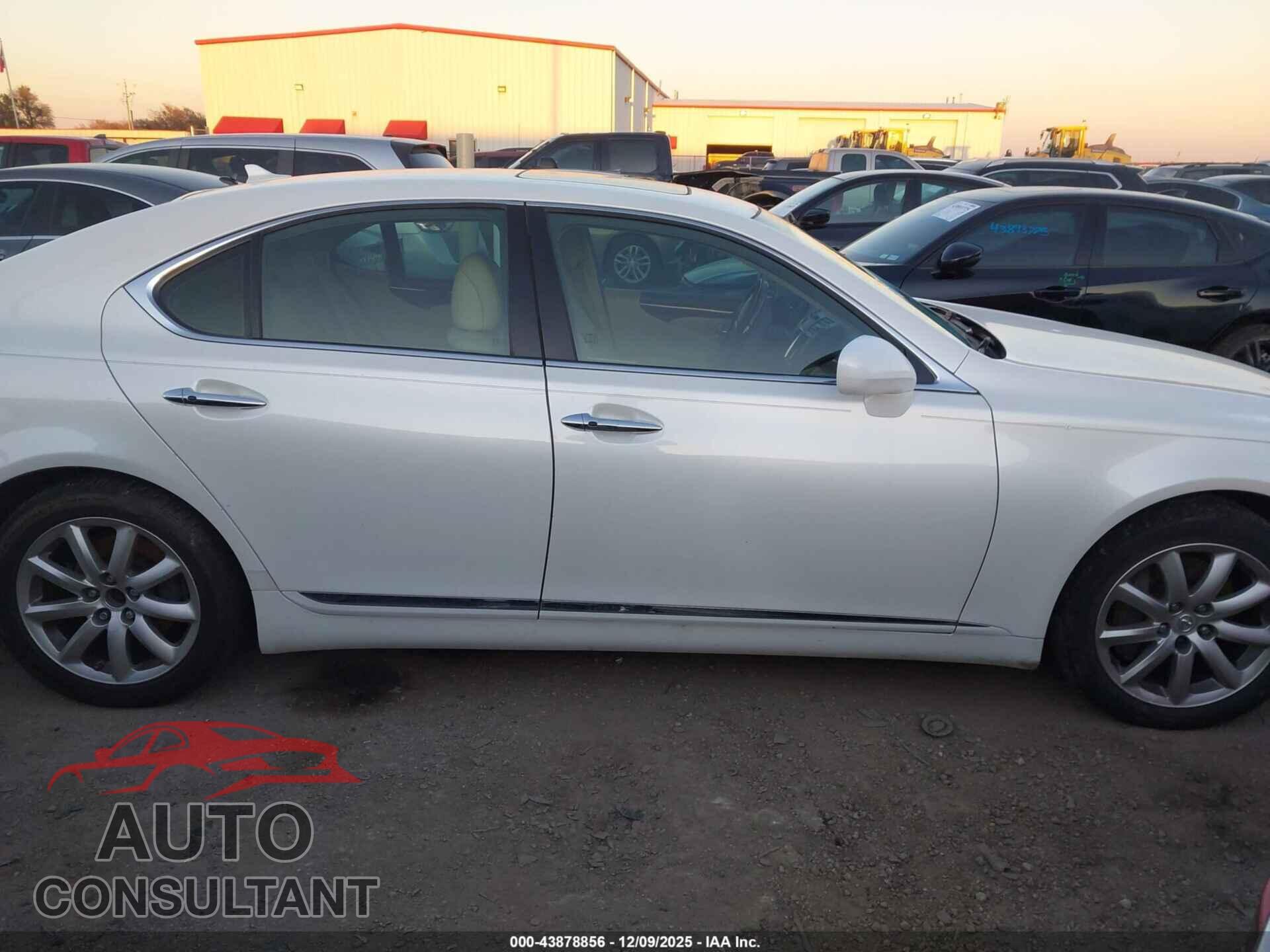 LEXUS LS 460 2009 - JTHBL46F095085357