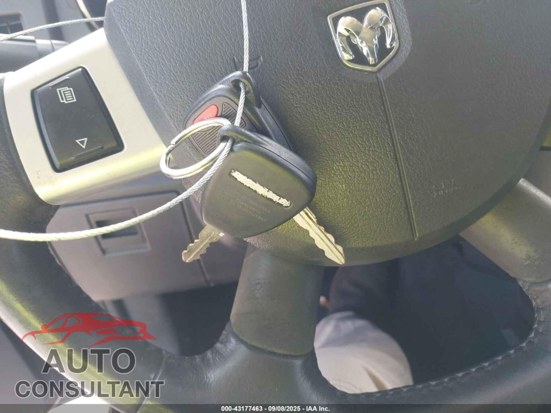DODGE NITRO 2011 - 1D4PT5GK9BW545000