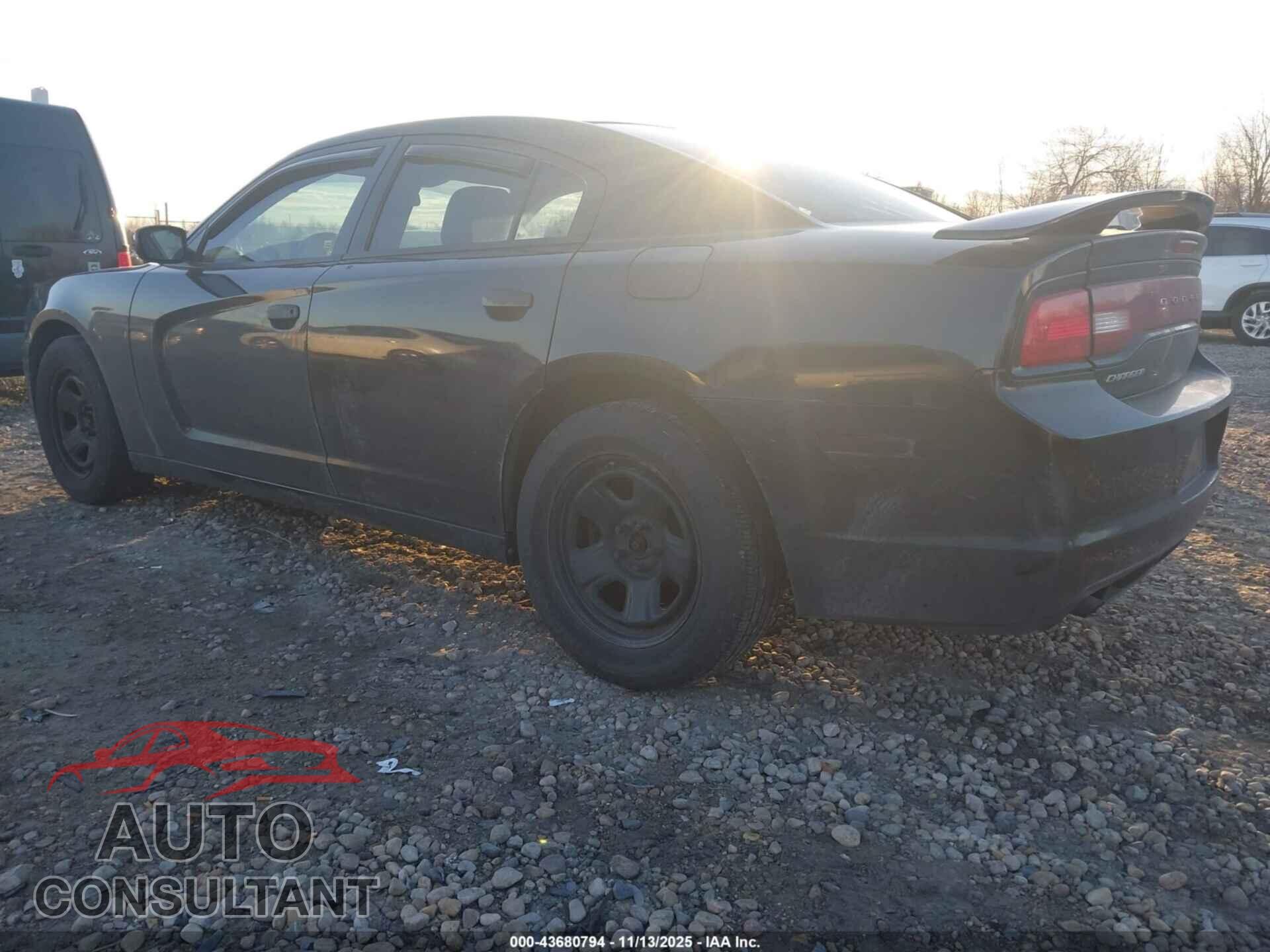 DODGE CHARGER 2014 - 2C3CDXAGXEH332279