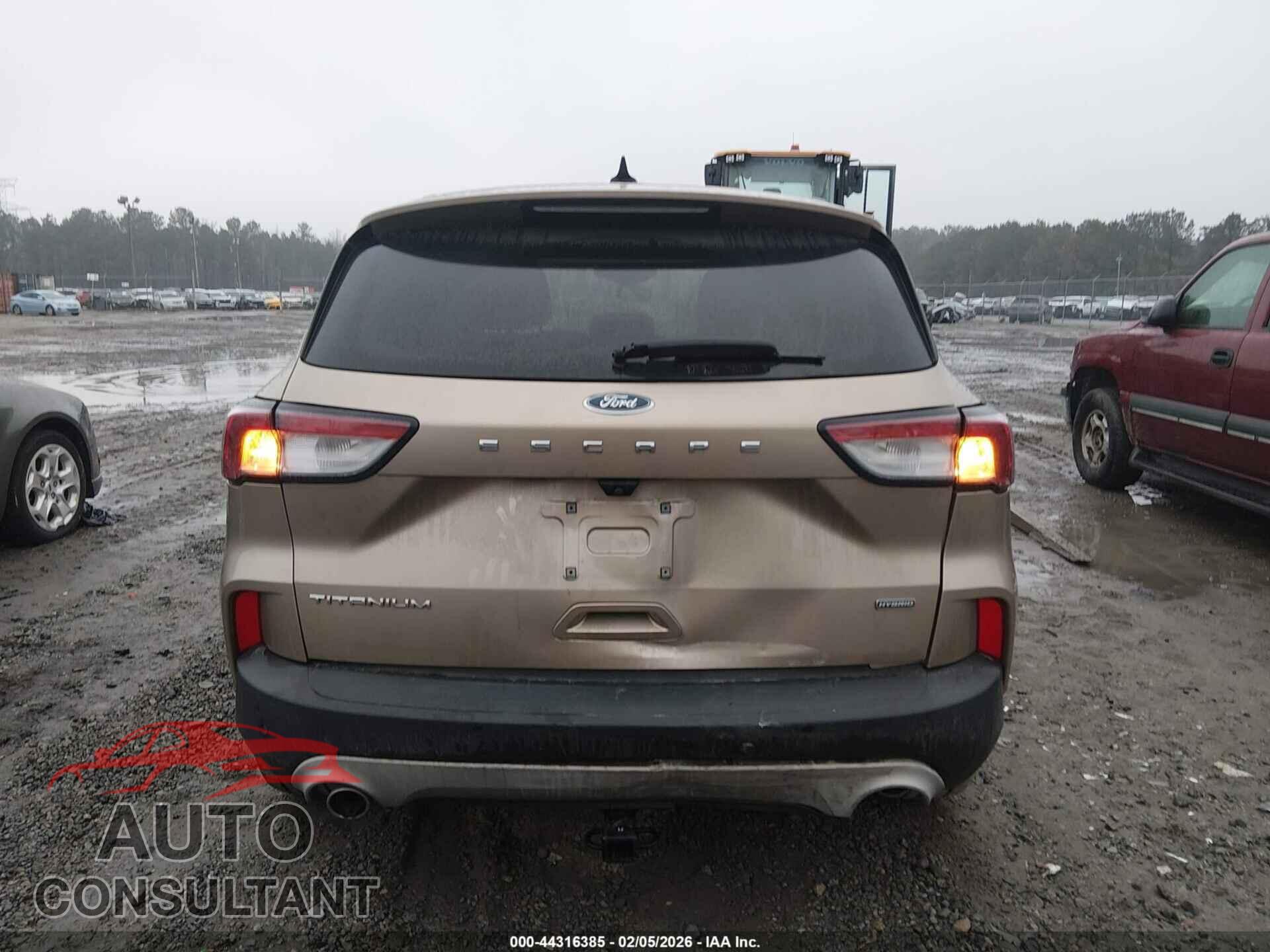 FORD ESCAPE 2020 - 1FMCU0DZ7LUA39655