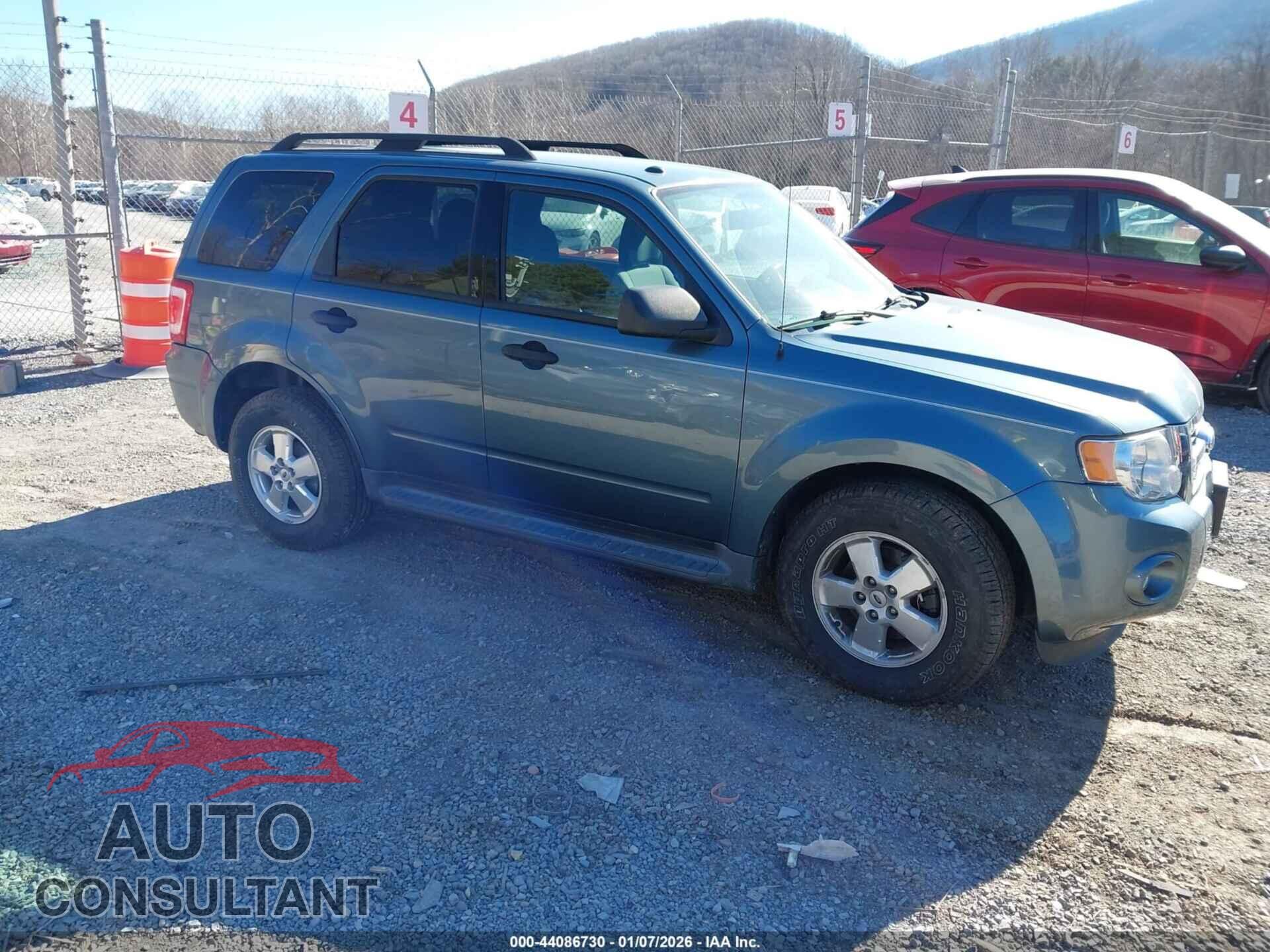 FORD ESCAPE 2011 - 1FMCU9DG8BKC03461