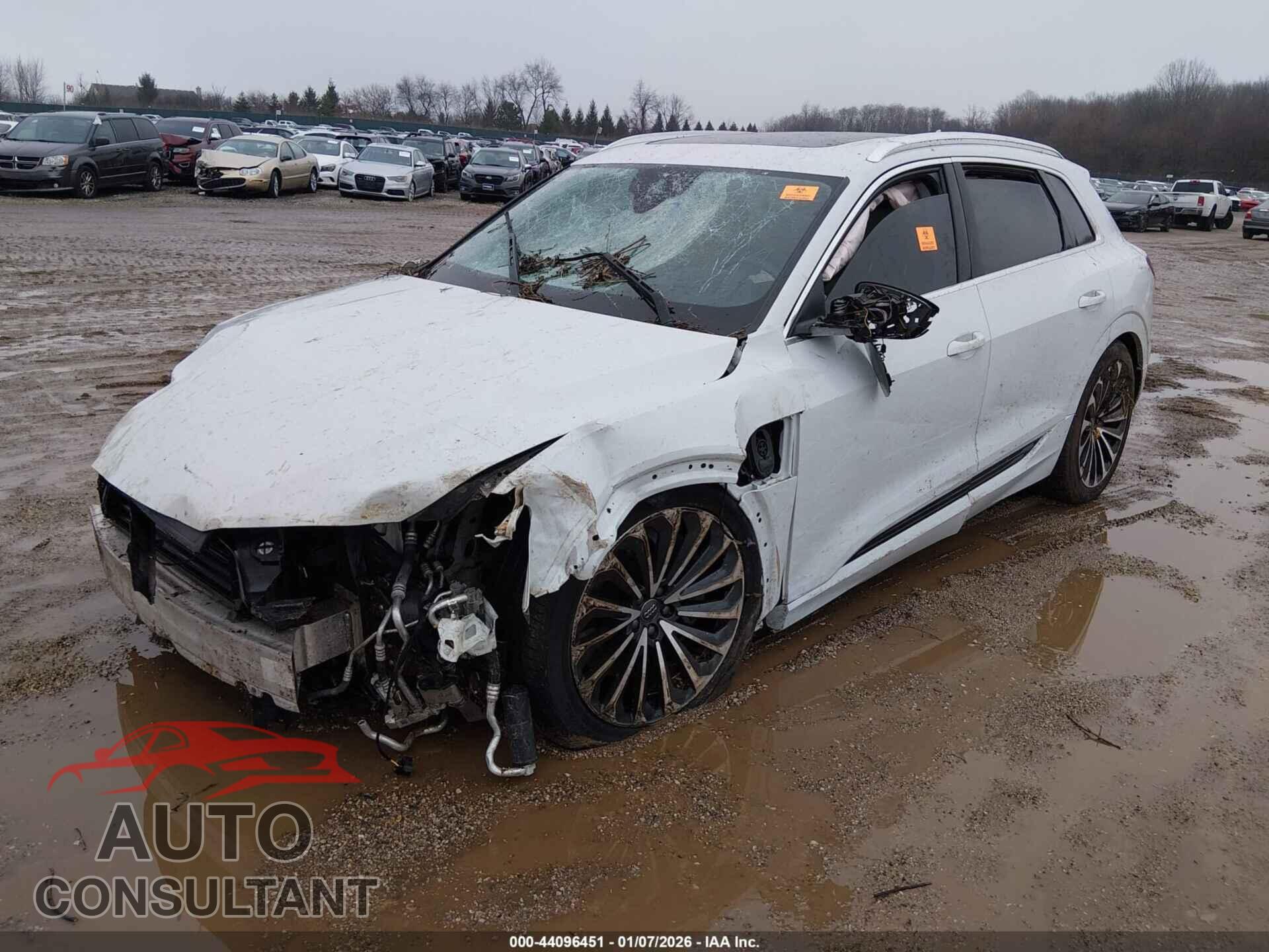 AUDI E-TRON 2019 - WA1VABGE3KB022897