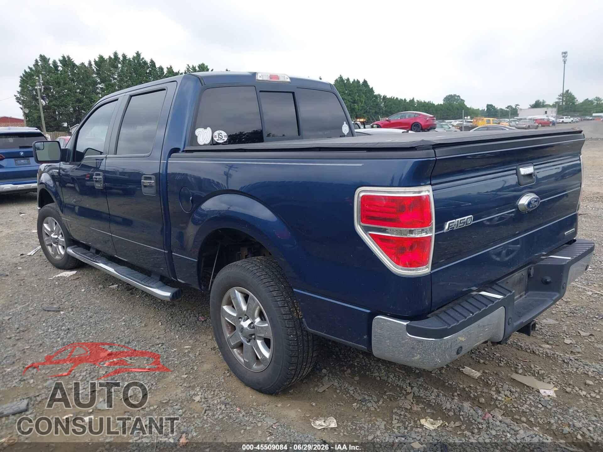 FORD F-150 2013 - 1FTFW1CF9DFD46209