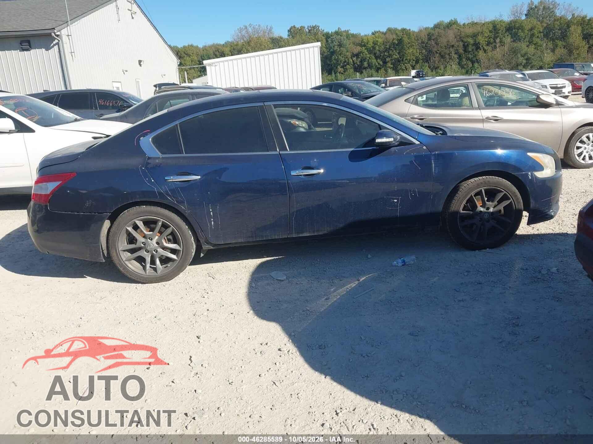 NISSAN MAXIMA 2010 - 1N4AA5AP0AC856463
