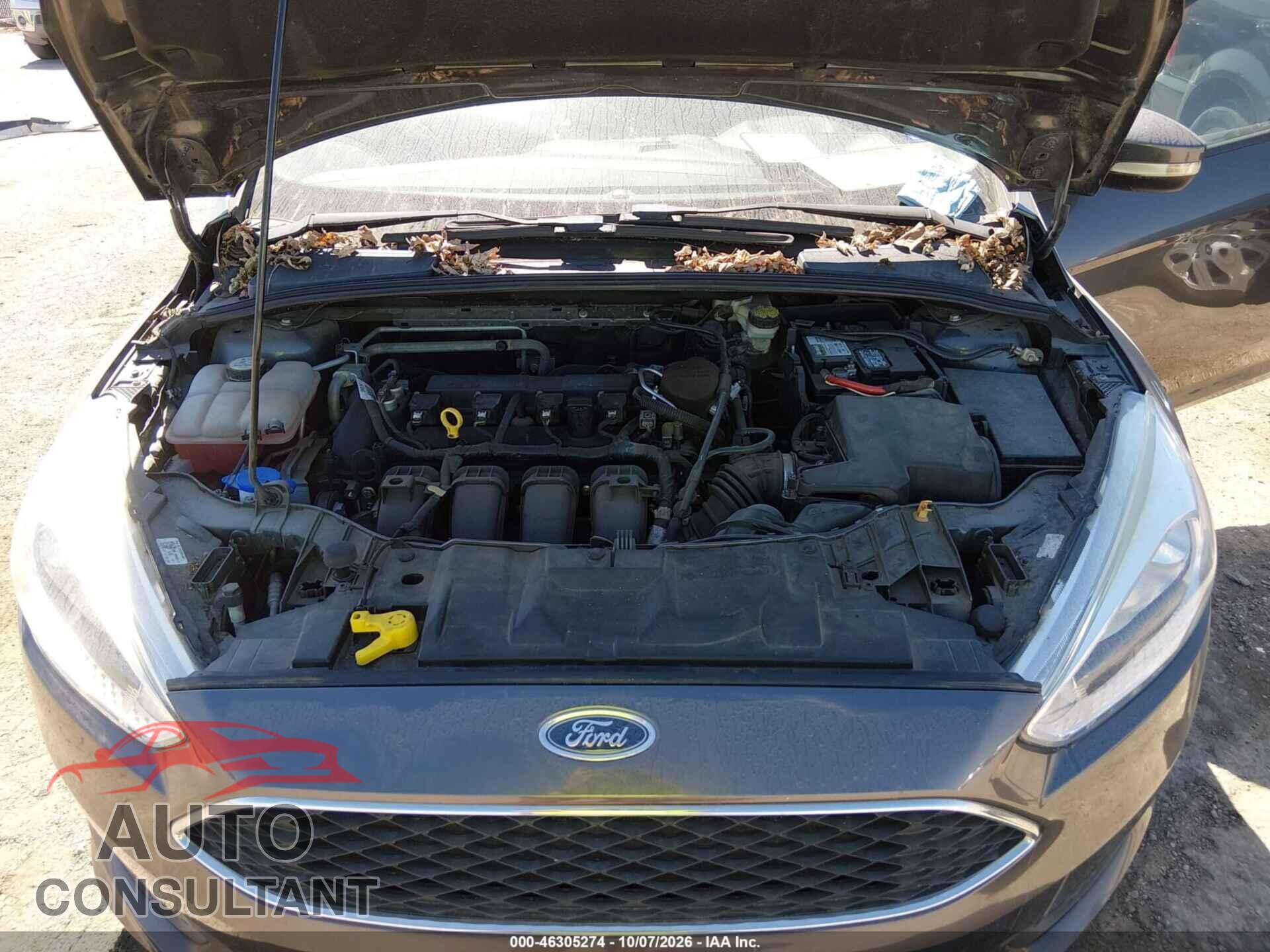 FORD FOCUS 2016 - 1FADP3F2XGL293363