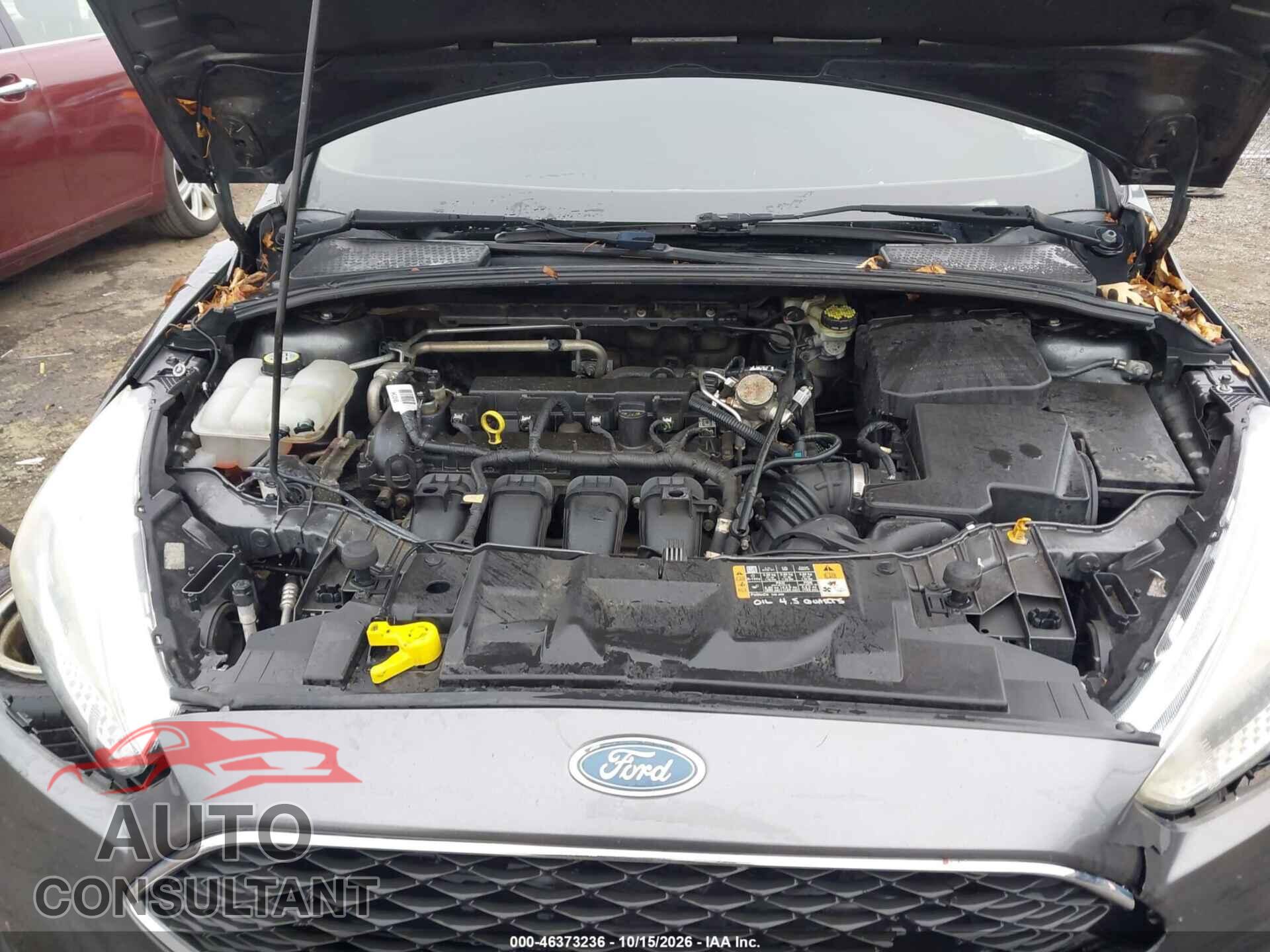 FORD FOCUS 2016 - 1FADP3F23GL356996