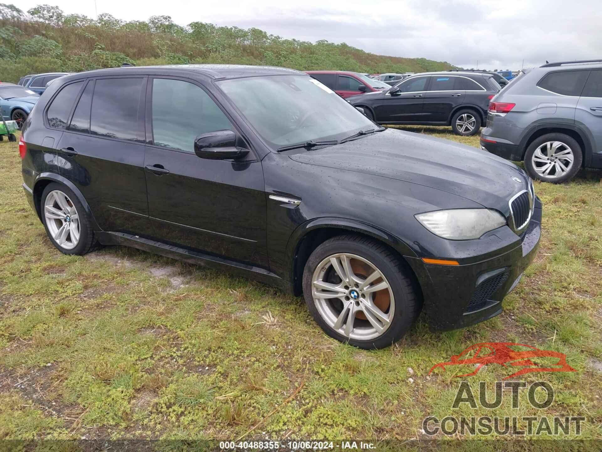 BMW X5 M 2010 - 5YMGY0C54ALK25320