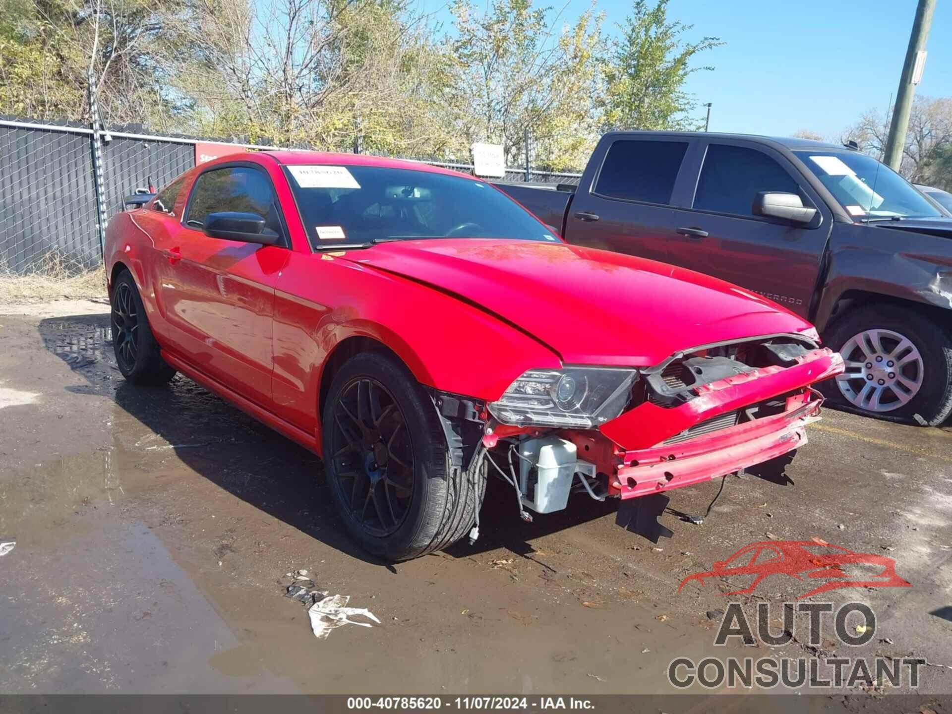 FORD MUSTANG 2014 - 1ZVBP8AMXE5328957