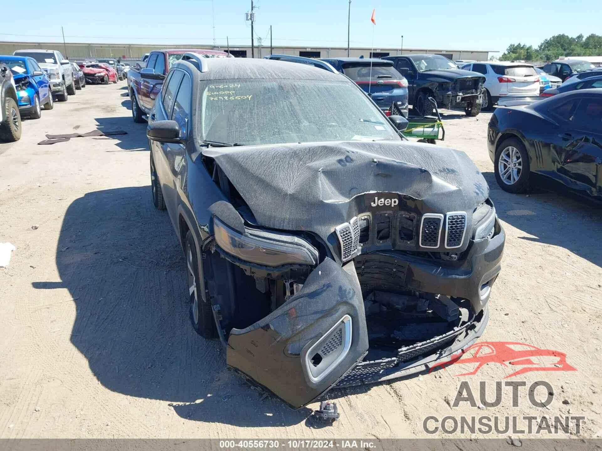 JEEP CHEROKEE 2020 - 1C4PJLDB6LD616310