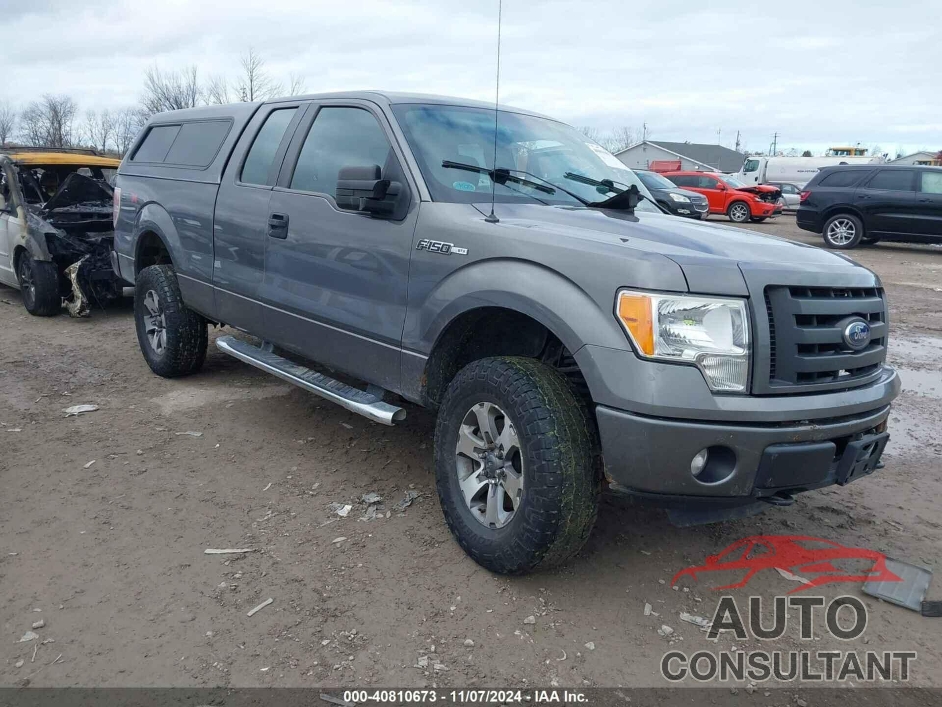 FORD F-150 2012 - 1FTFX1EF4CFA83667