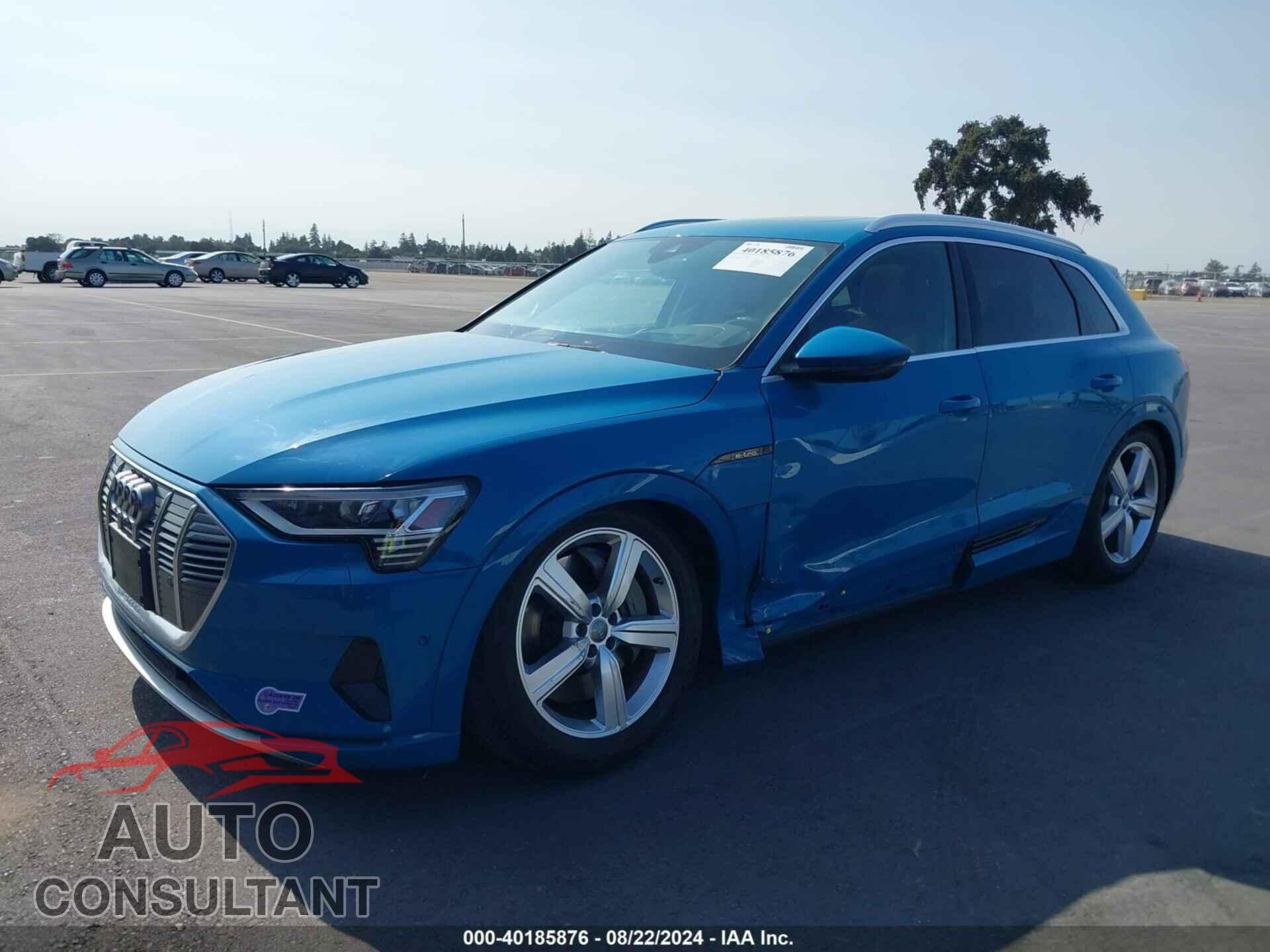 AUDI E-TRON 2019 - WA1VAAGE5KB015024