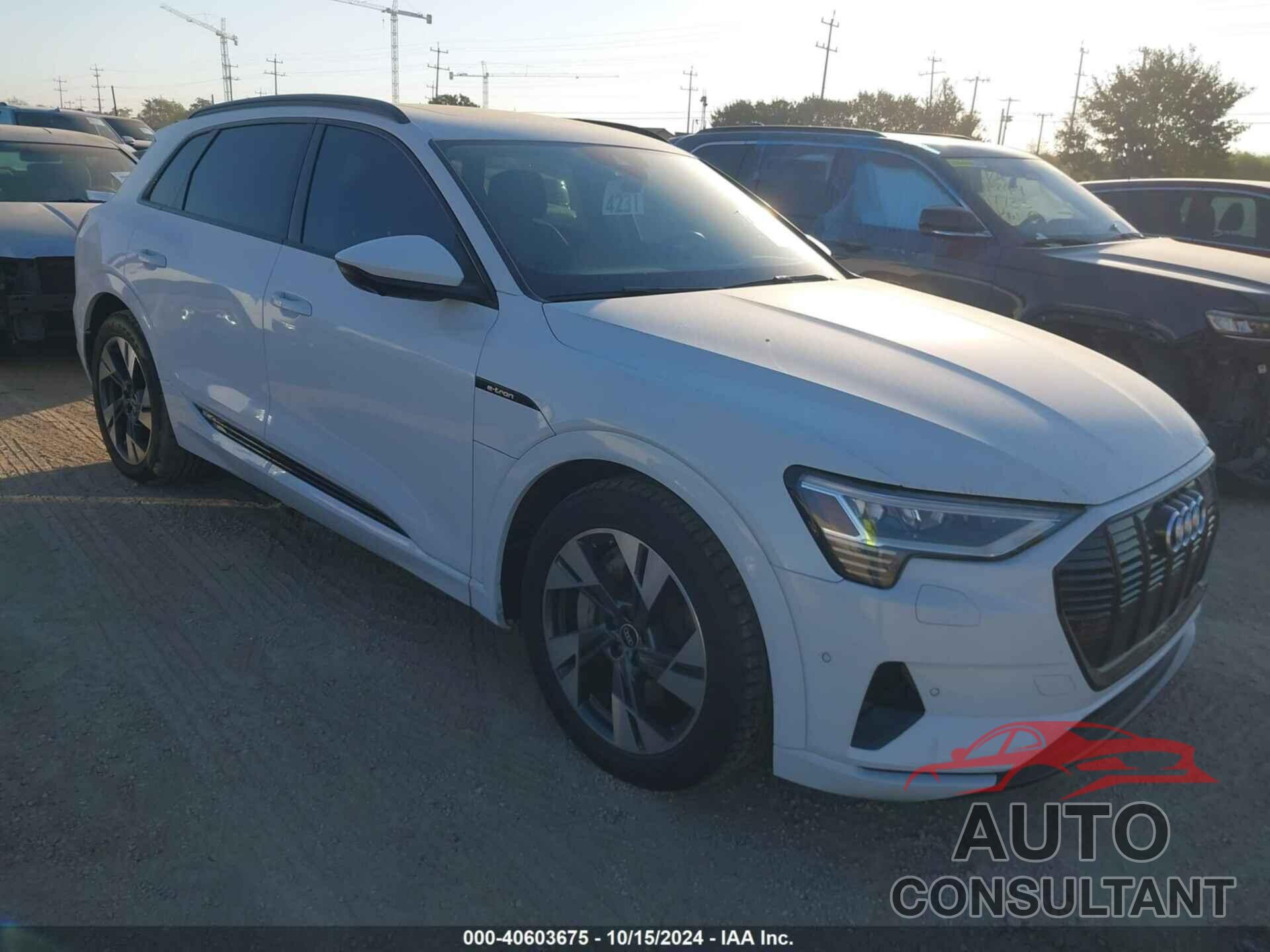 AUDI E-TRON 2021 - WA1AAAGEXMB013643