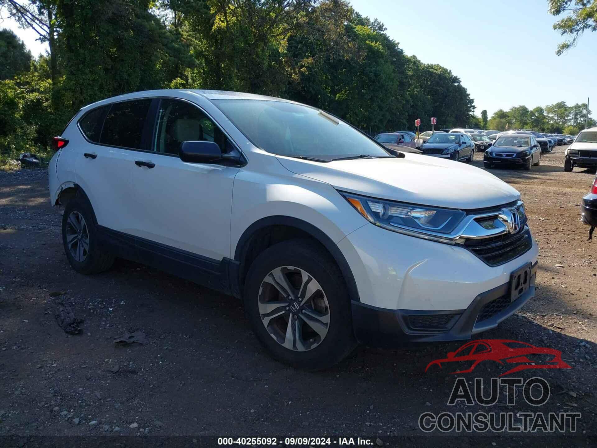 HONDA CR-V 2019 - 5J6RW6H34KL004099