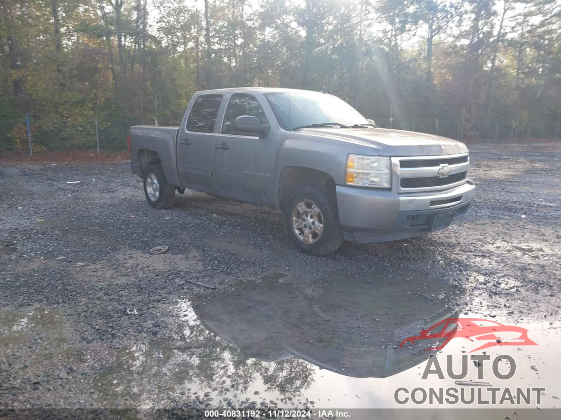 CHEVROLET SILVERADO 1500 2009 - 3GCEC23039G233075