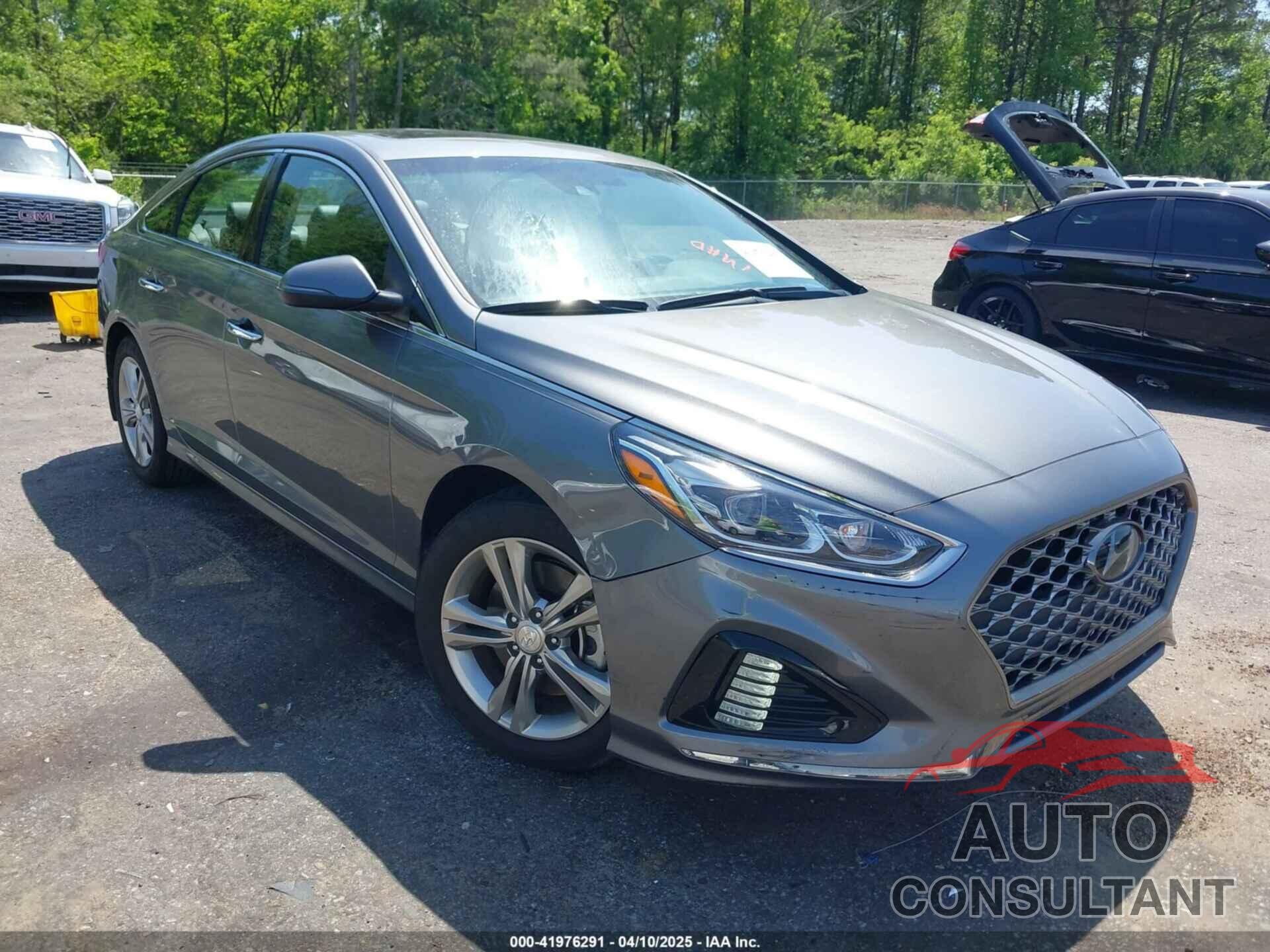 HYUNDAI SONATA 2019 - 5NPE34AF0KH806515
