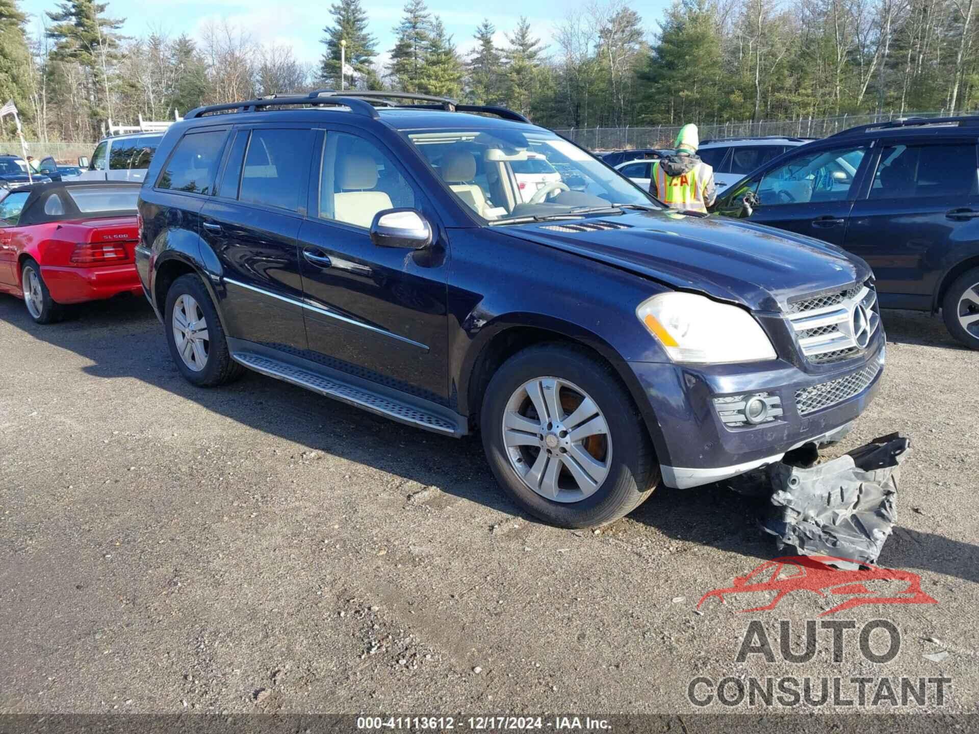 MERCEDES-BENZ GL 450 2009 - 4JGBF71E29A444879