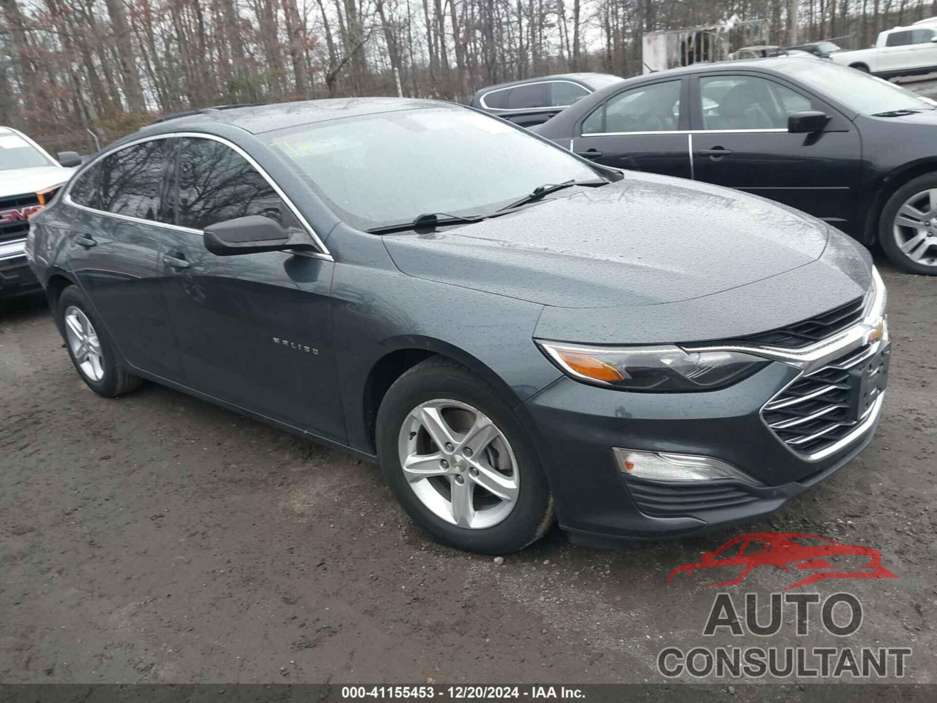 CHEVROLET MALIBU 2019 - 1G1ZB5ST1KF224943