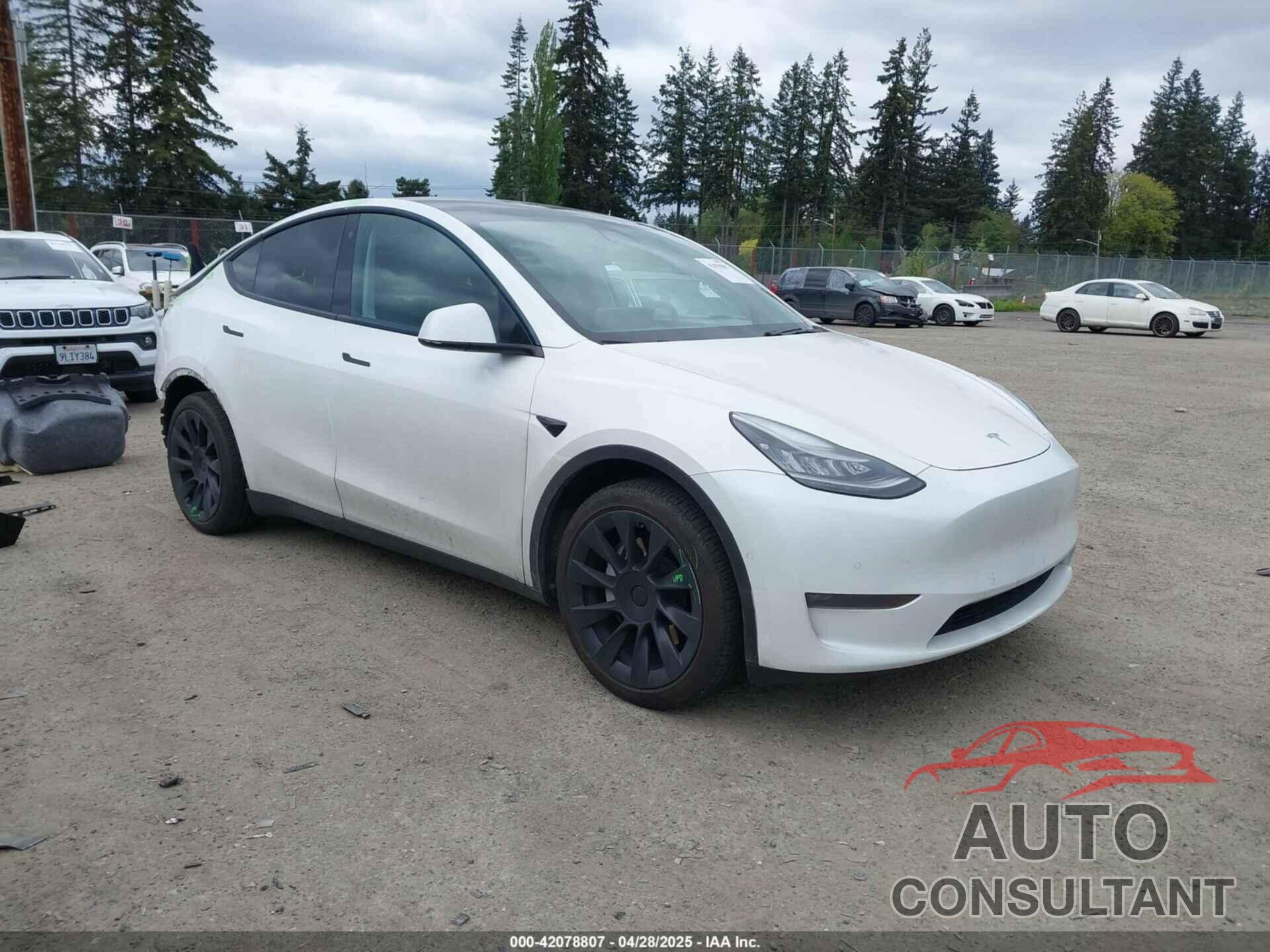 TESLA MODEL Y 2021 - 5YJYGDEE6MF082883