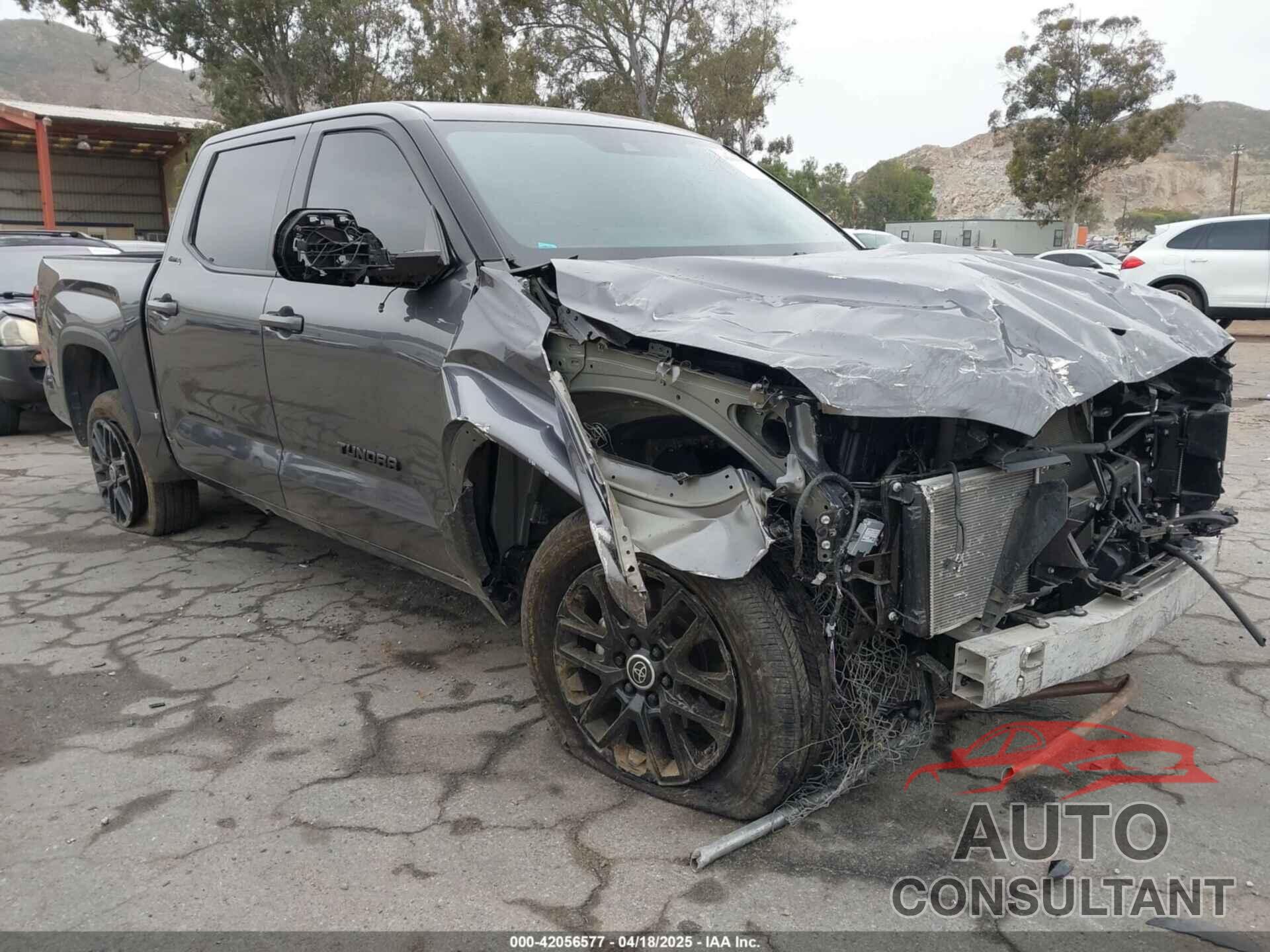 TOYOTA TUNDRA 2024 - 5TFWA5DB4RX228135