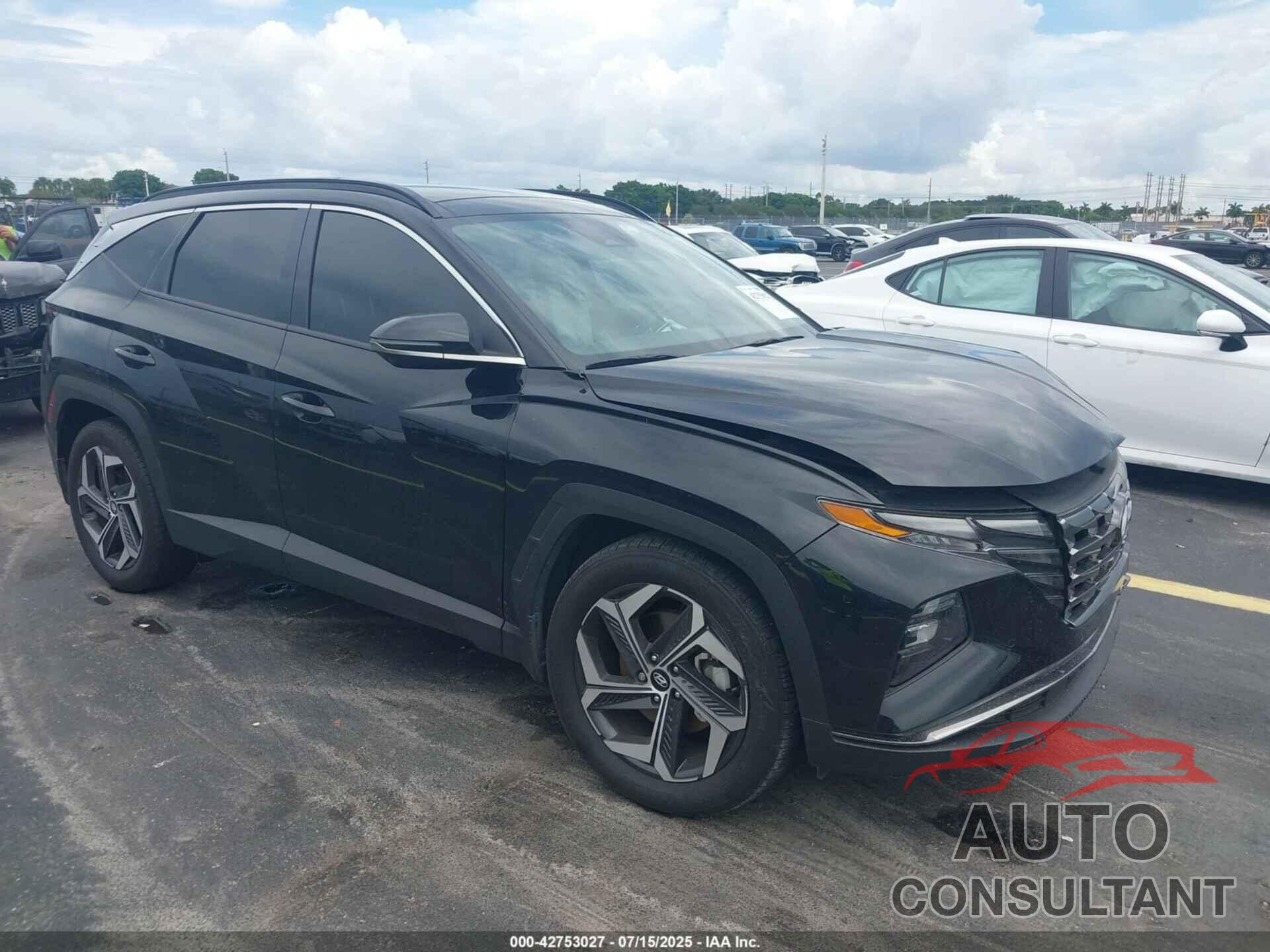 HYUNDAI TUCSON 2024 - 5NMJE3DE2RH341491