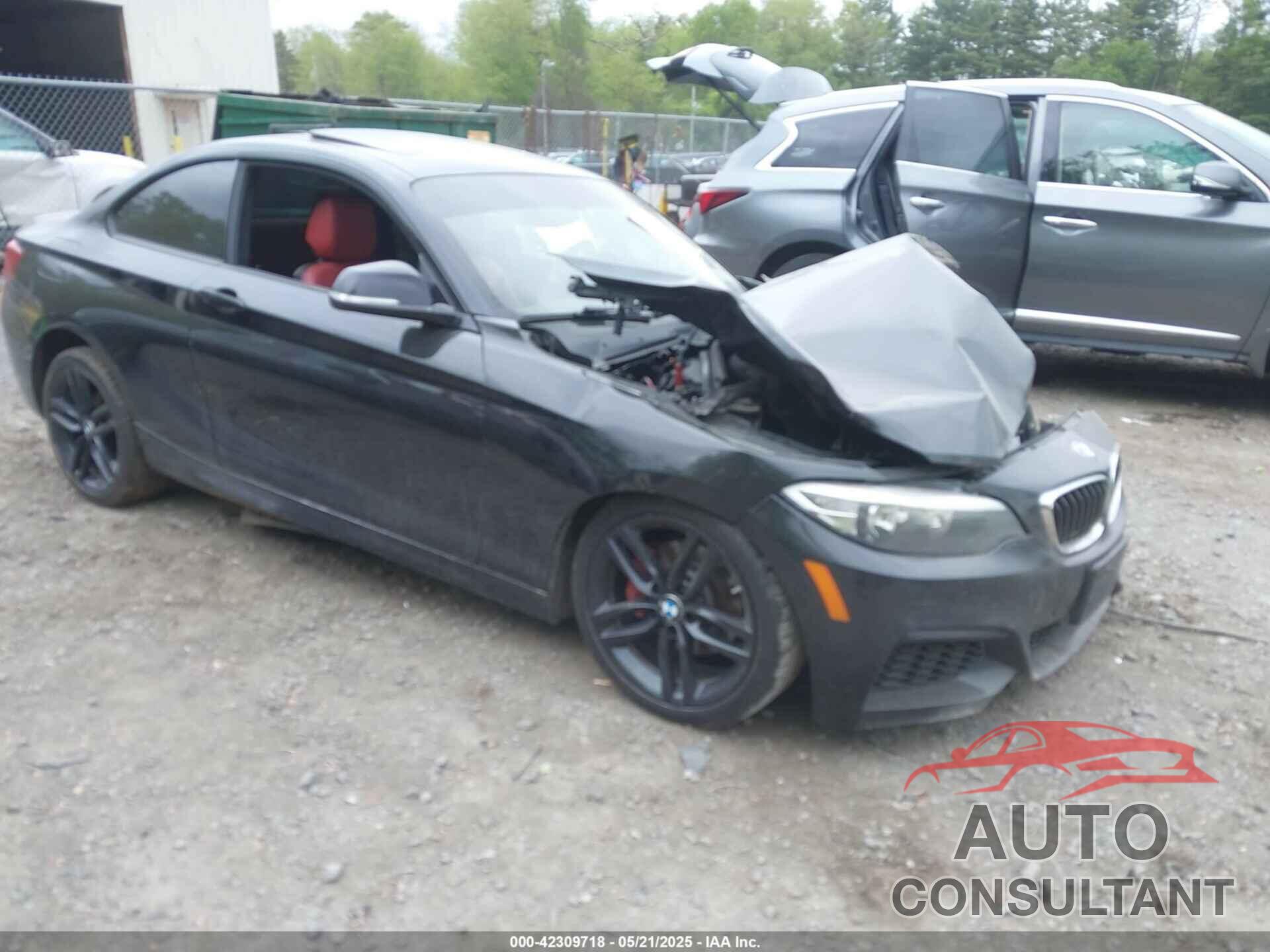 BMW 228I 2016 - WBA1G9C52GV598422
