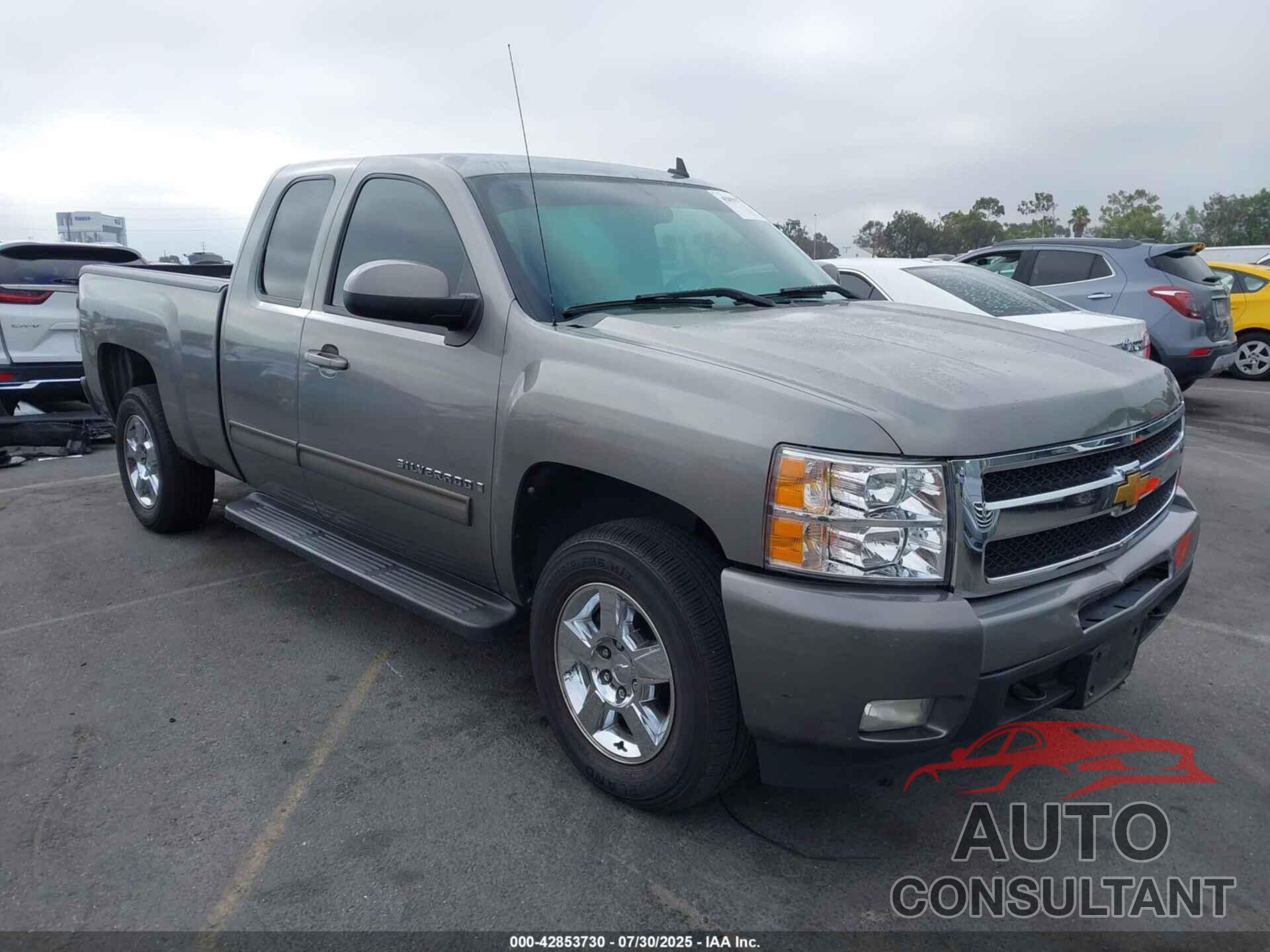 CHEVROLET SILVERADO 1500 2009 - 1GCEC39J69Z174643