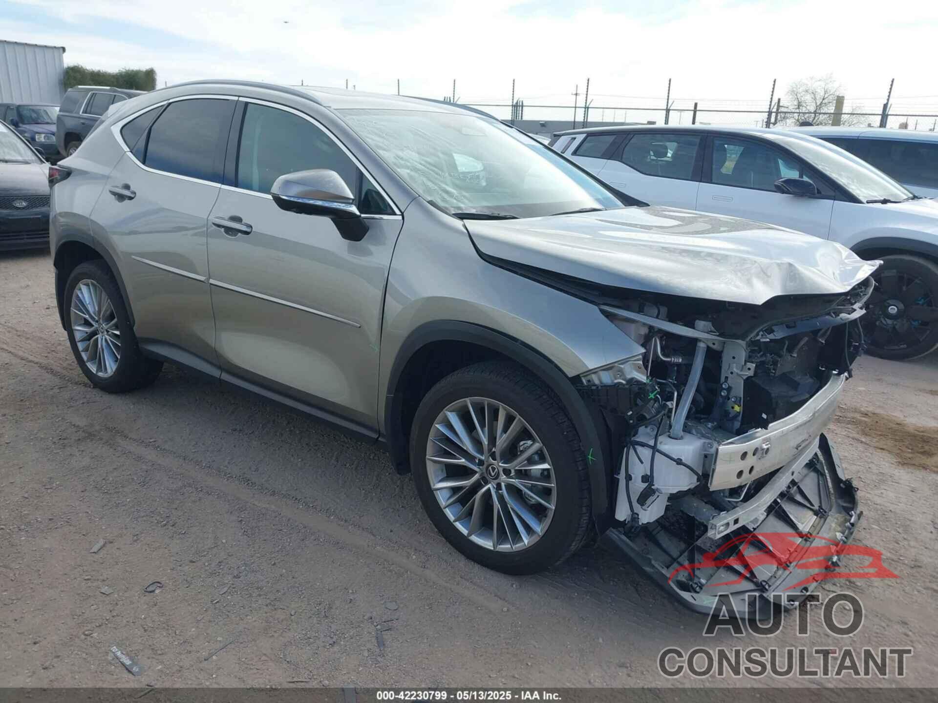 LEXUS NX 350 2024 - 2T2HGCEZ3RC032785