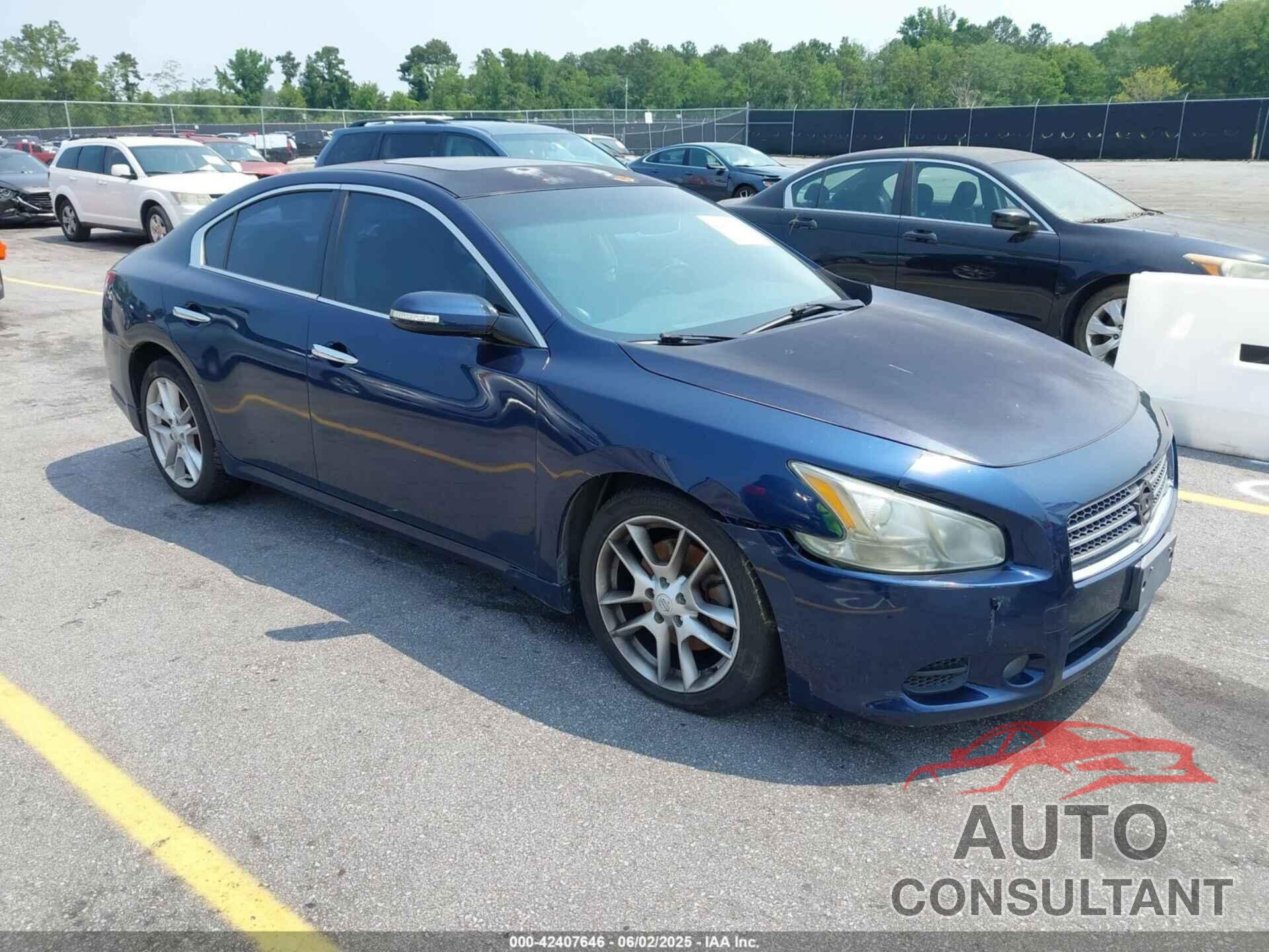 NISSAN MAXIMA 2011 - 1N4AA5AP7BC843677