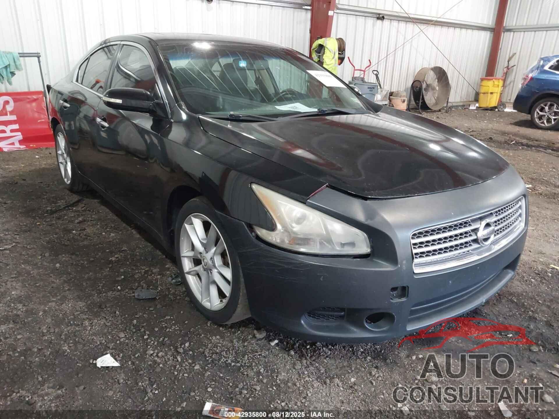 NISSAN MAXIMA 2009 - 1N4AA51E99C813508