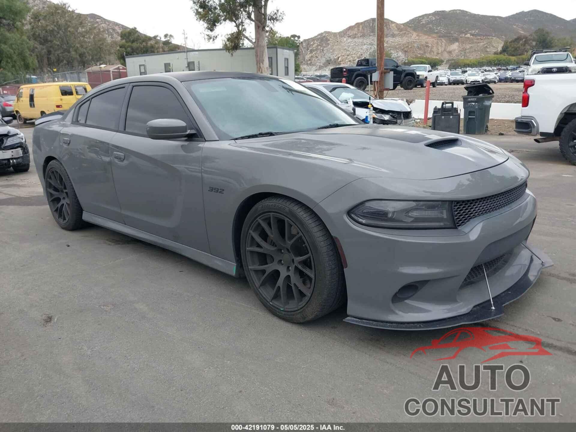 DODGE CHARGER 2017 - 2C3CDXGJ8HH618915