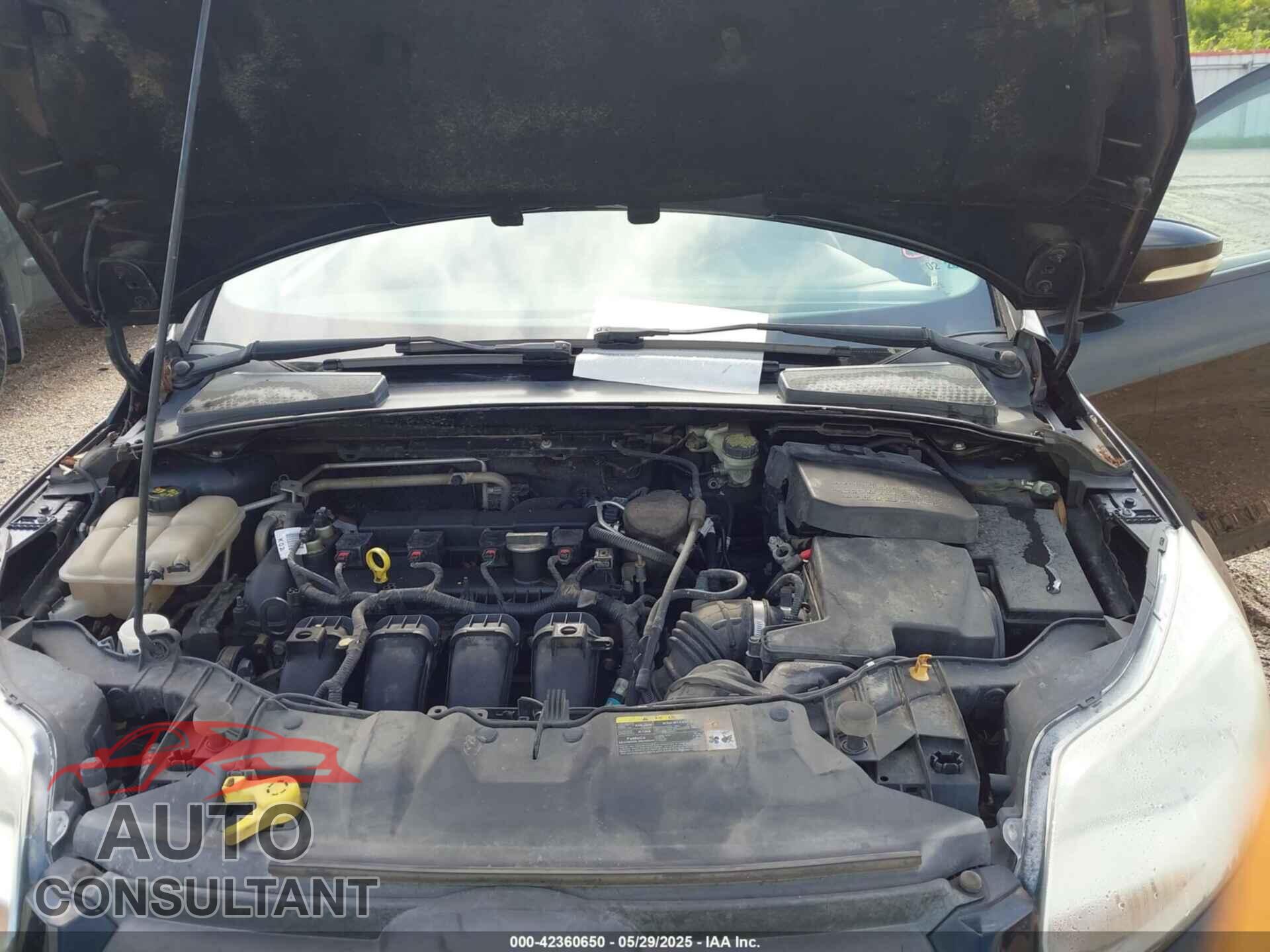 FORD FOCUS 2014 - 1FADP3K26EL265482