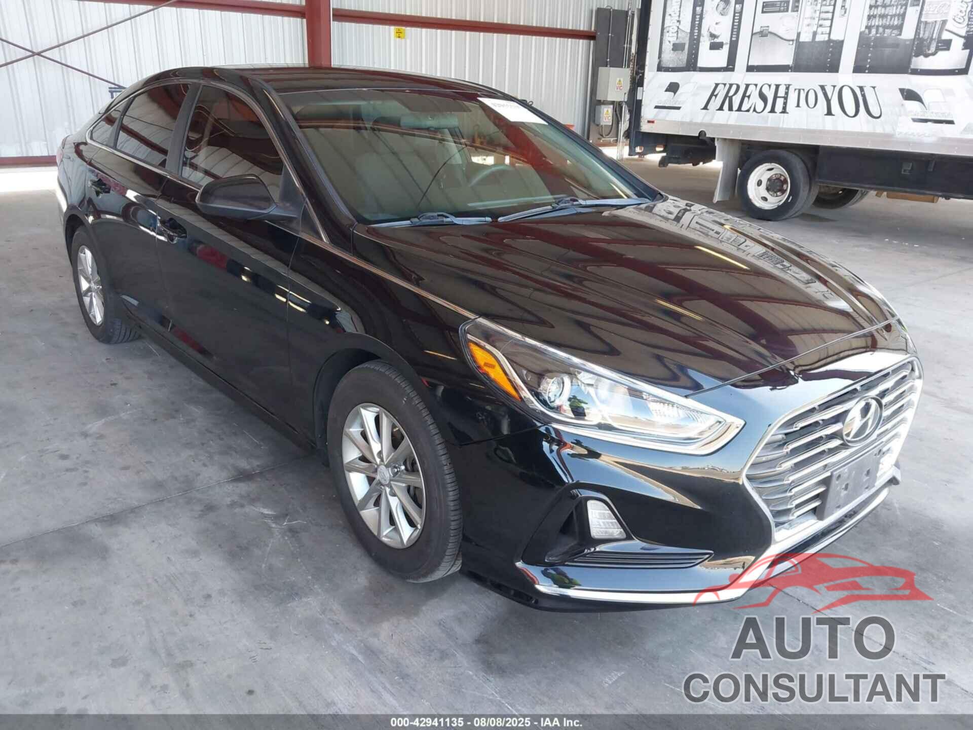 HYUNDAI SONATA 2019 - 5NPE24AF0KH738638