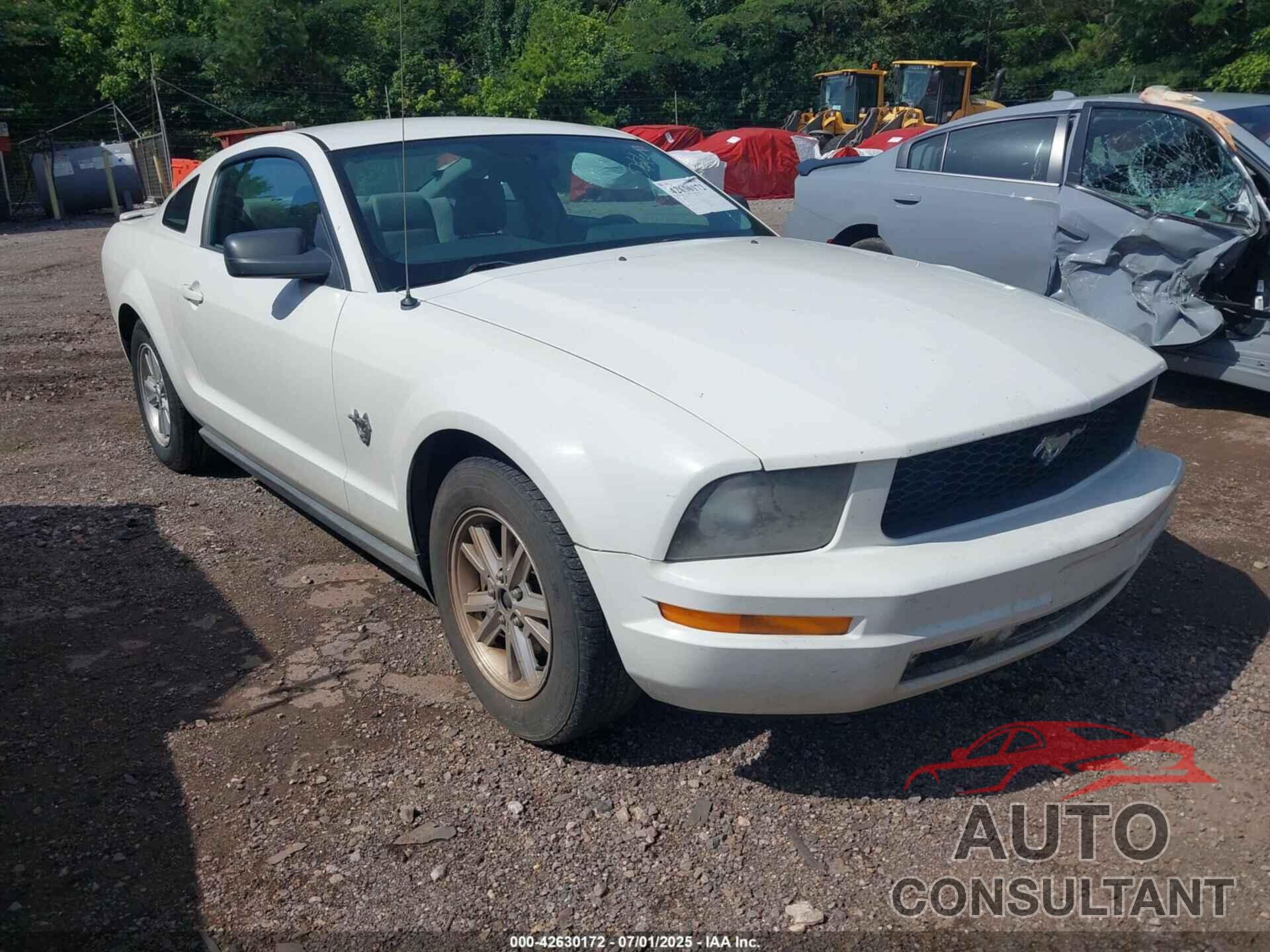 FORD MUSTANG 2009 - 1ZVHT80N695118314