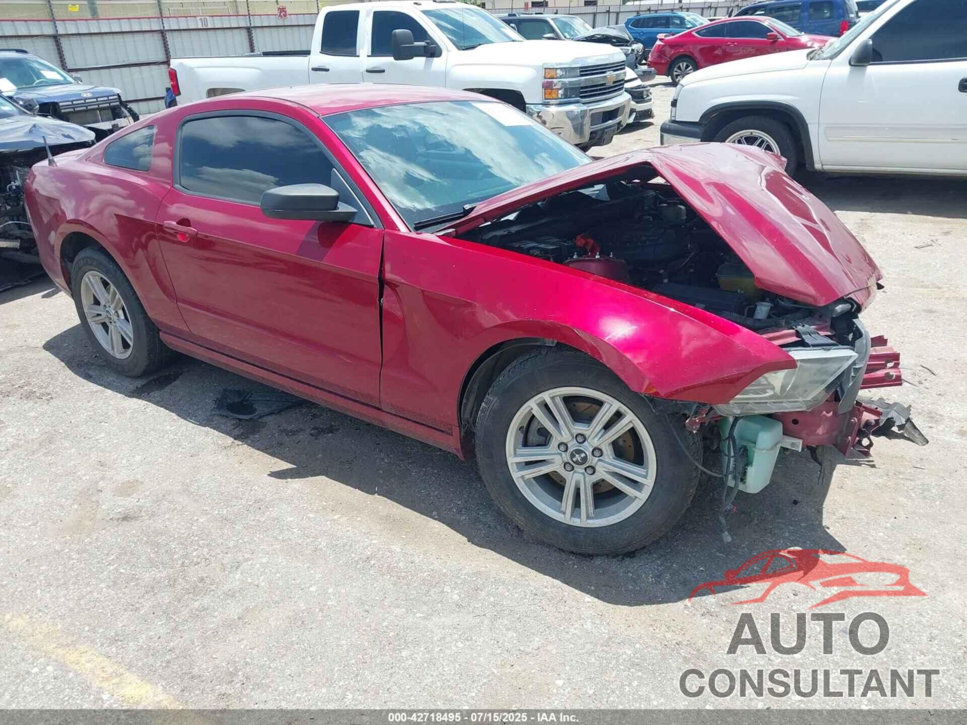 FORD MUSTANG 2014 - 1ZVBP8AM6E5286593