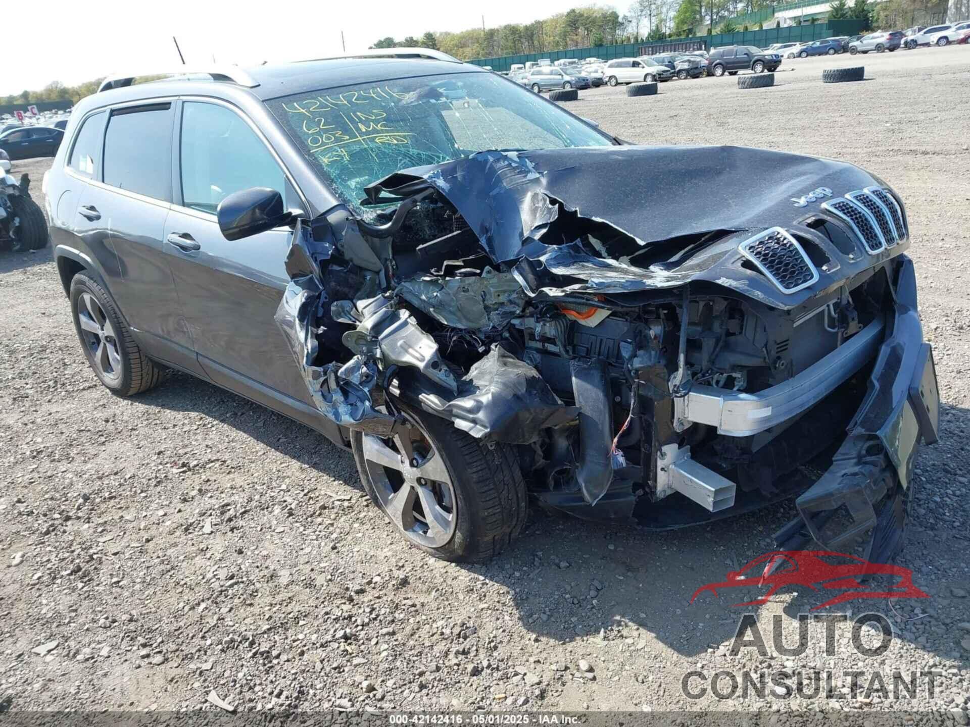 JEEP CHEROKEE 2019 - 1C4PJMDX1KD356852