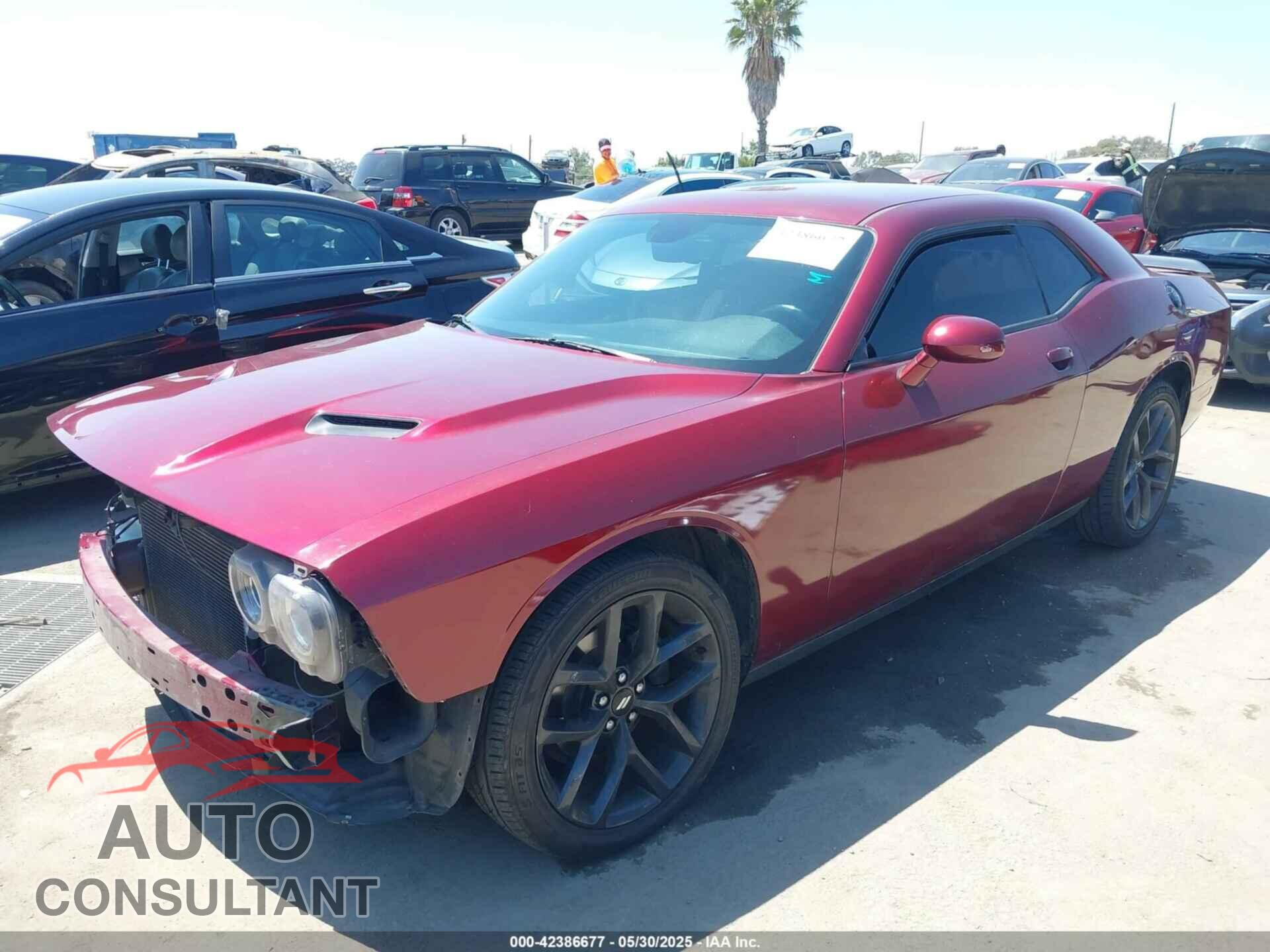 DODGE CHALLENGER 2019 - 2C3CDZAG0KH677232