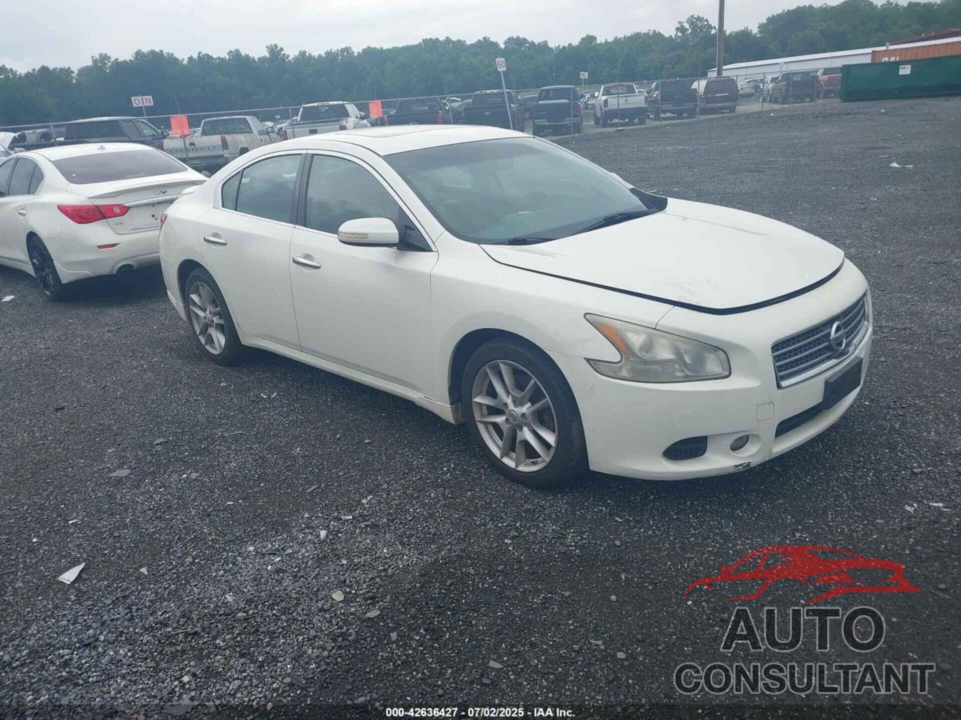 NISSAN MAXIMA 2010 - 1N4AA5AP5AC822910
