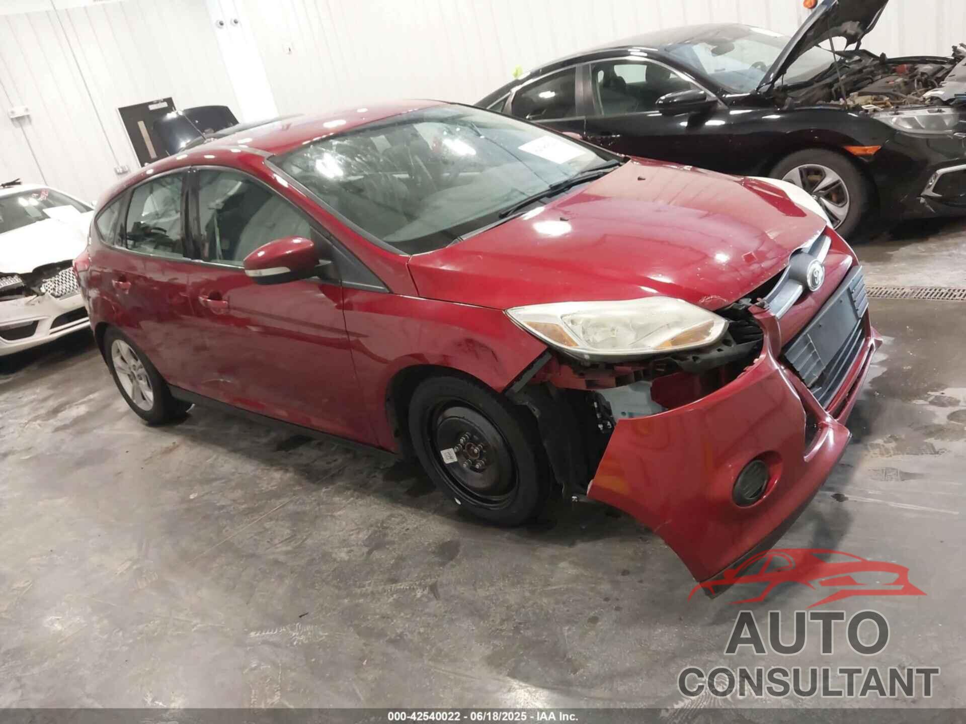 FORD FOCUS 2014 - 1FADP3K20EL208839