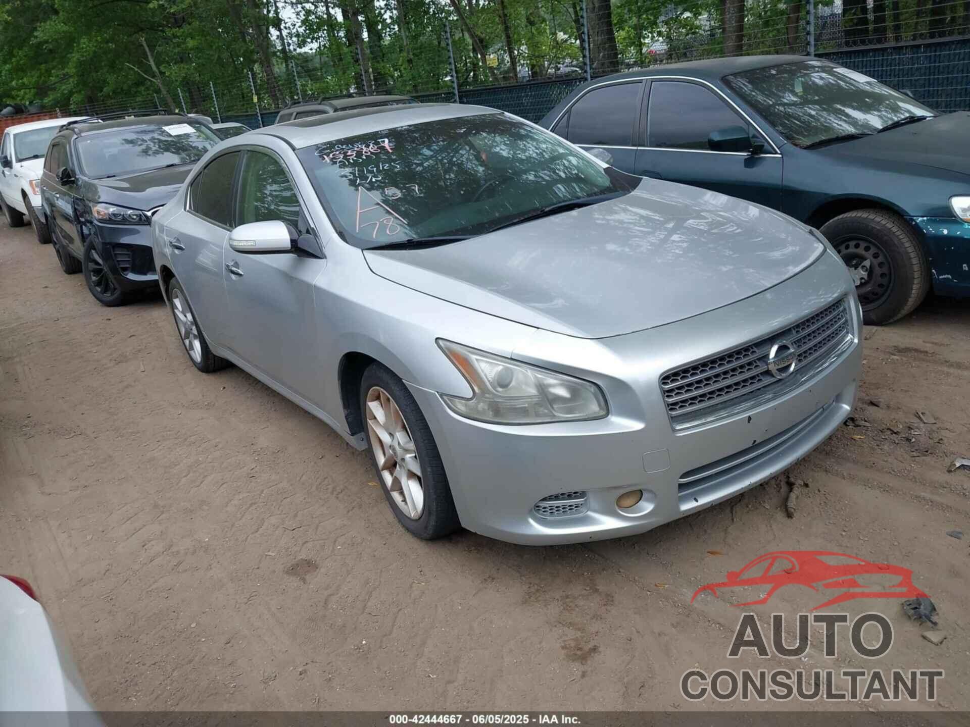 NISSAN MAXIMA 2011 - 1N4AA5AP8BC801910