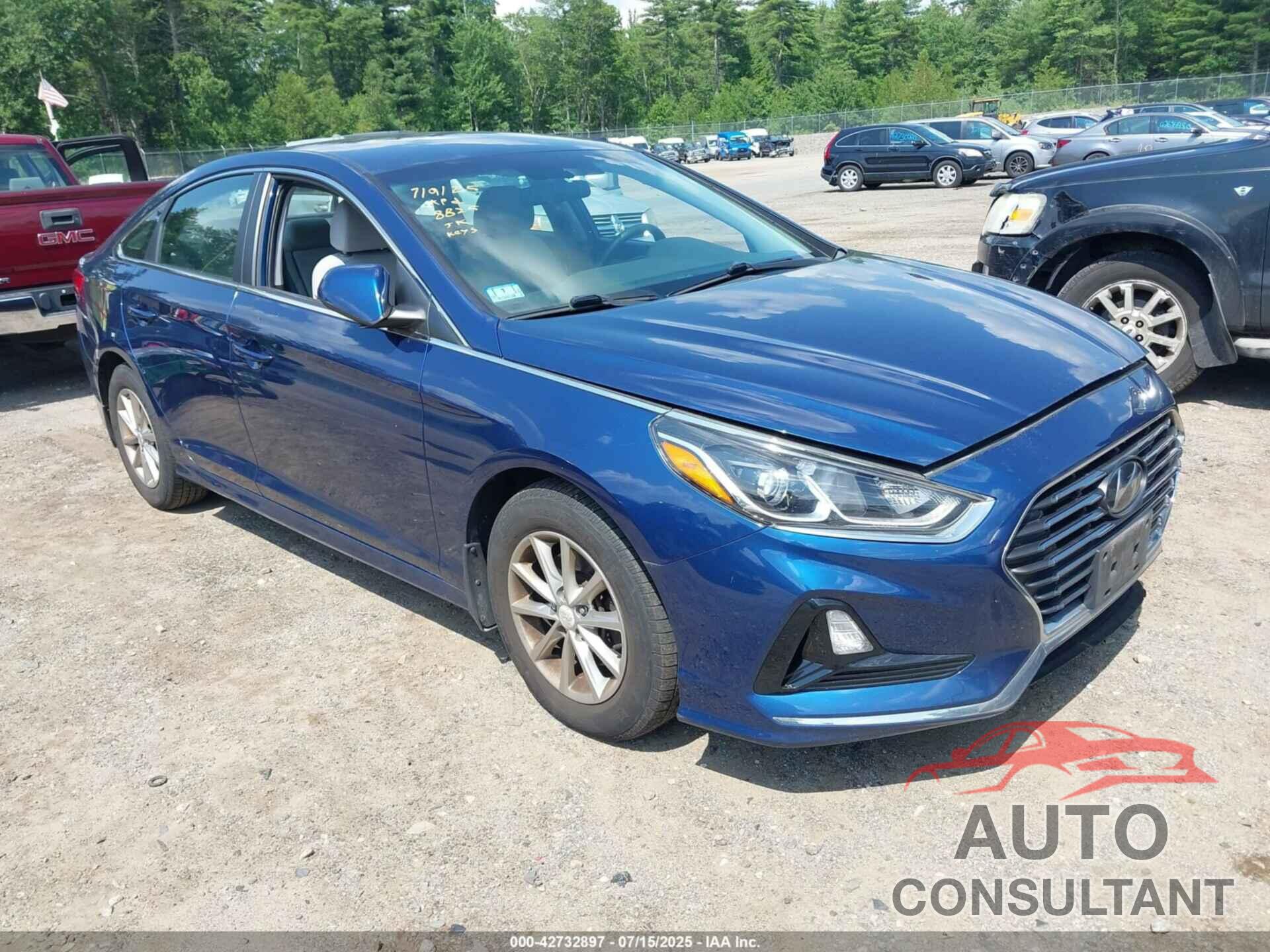 HYUNDAI SONATA 2019 - 5NPE24AF2KH798825