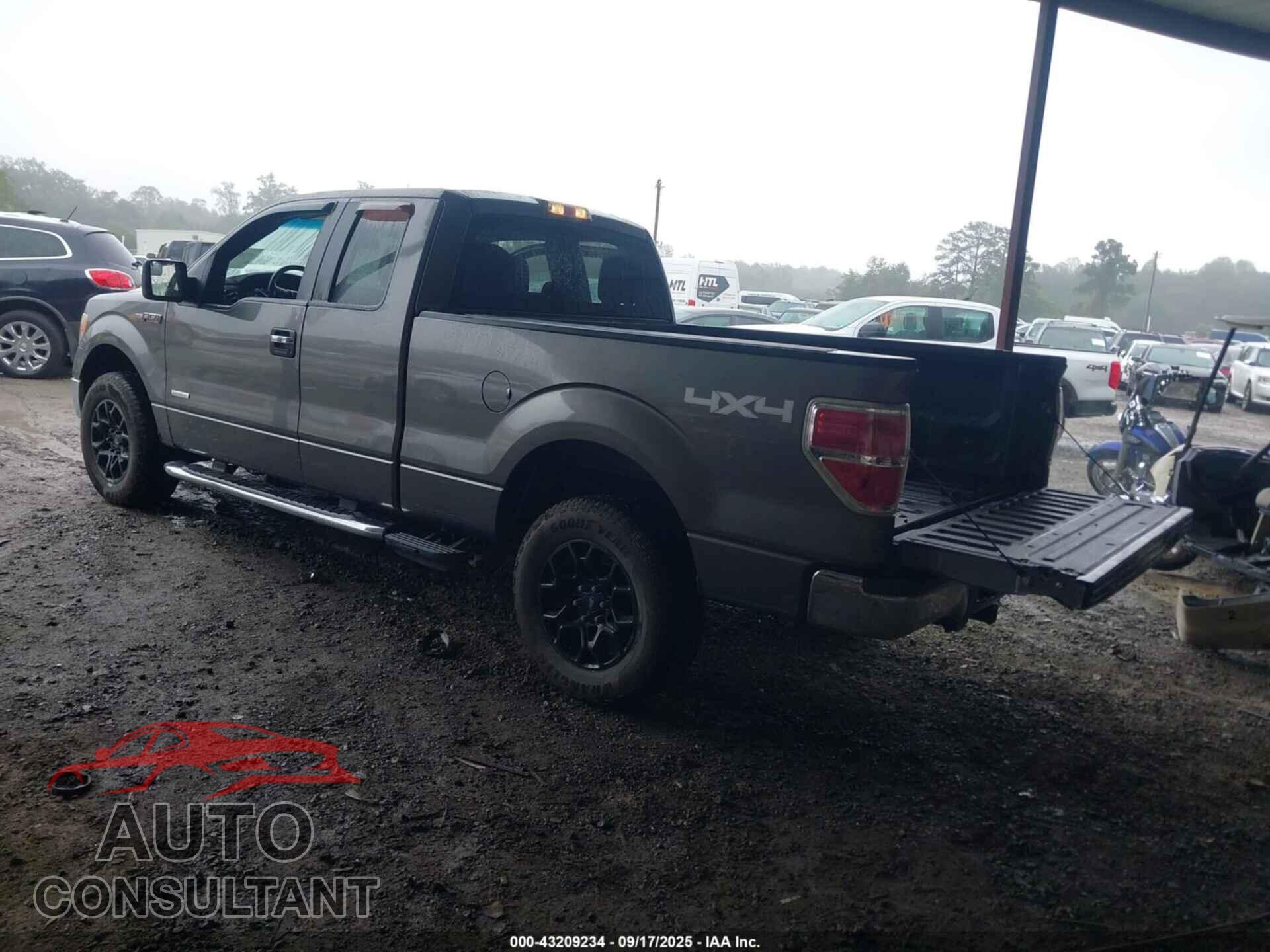 FORD F-150 2013 - 1FTFX1ET7DFD38464