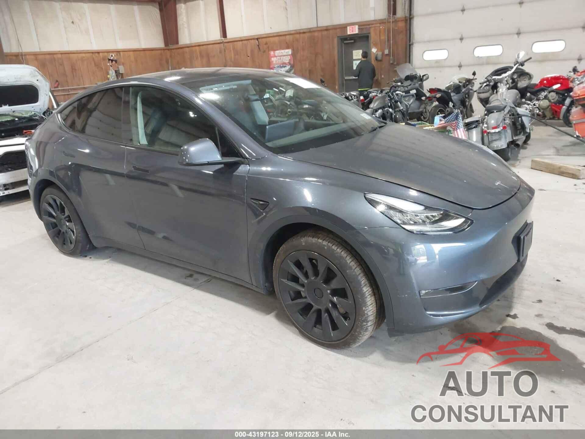 TESLA MODEL Y 2021 - 5YJYGDEE5MF111497