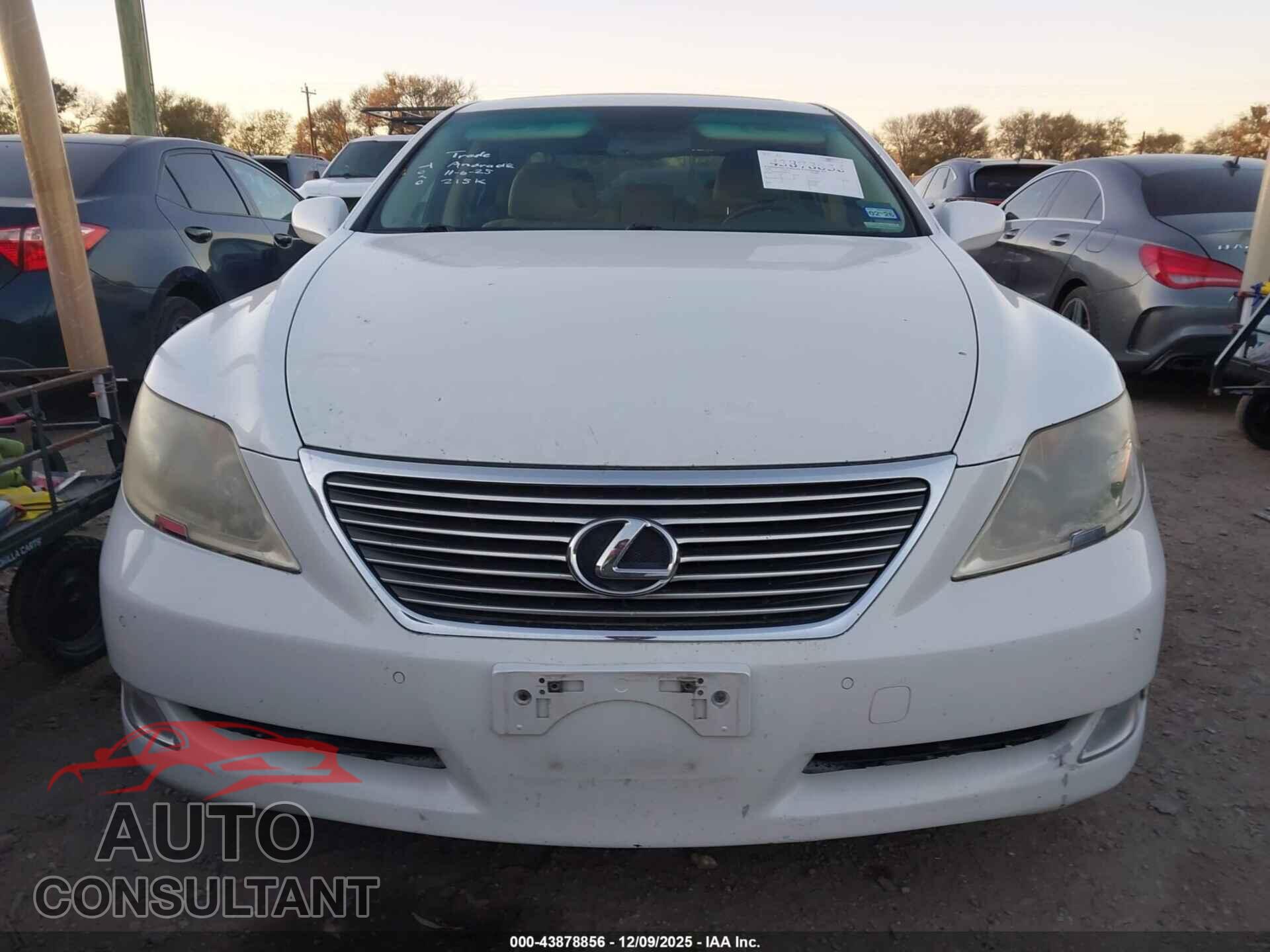 LEXUS LS 460 2009 - JTHBL46F095085357