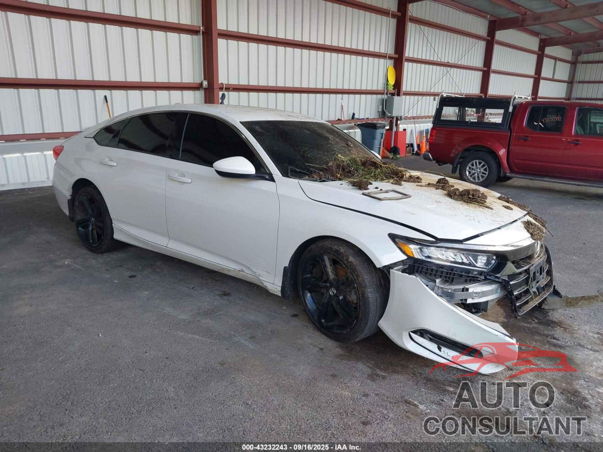 HONDA ACCORD 2019 - 1HGCV1F37KA086931