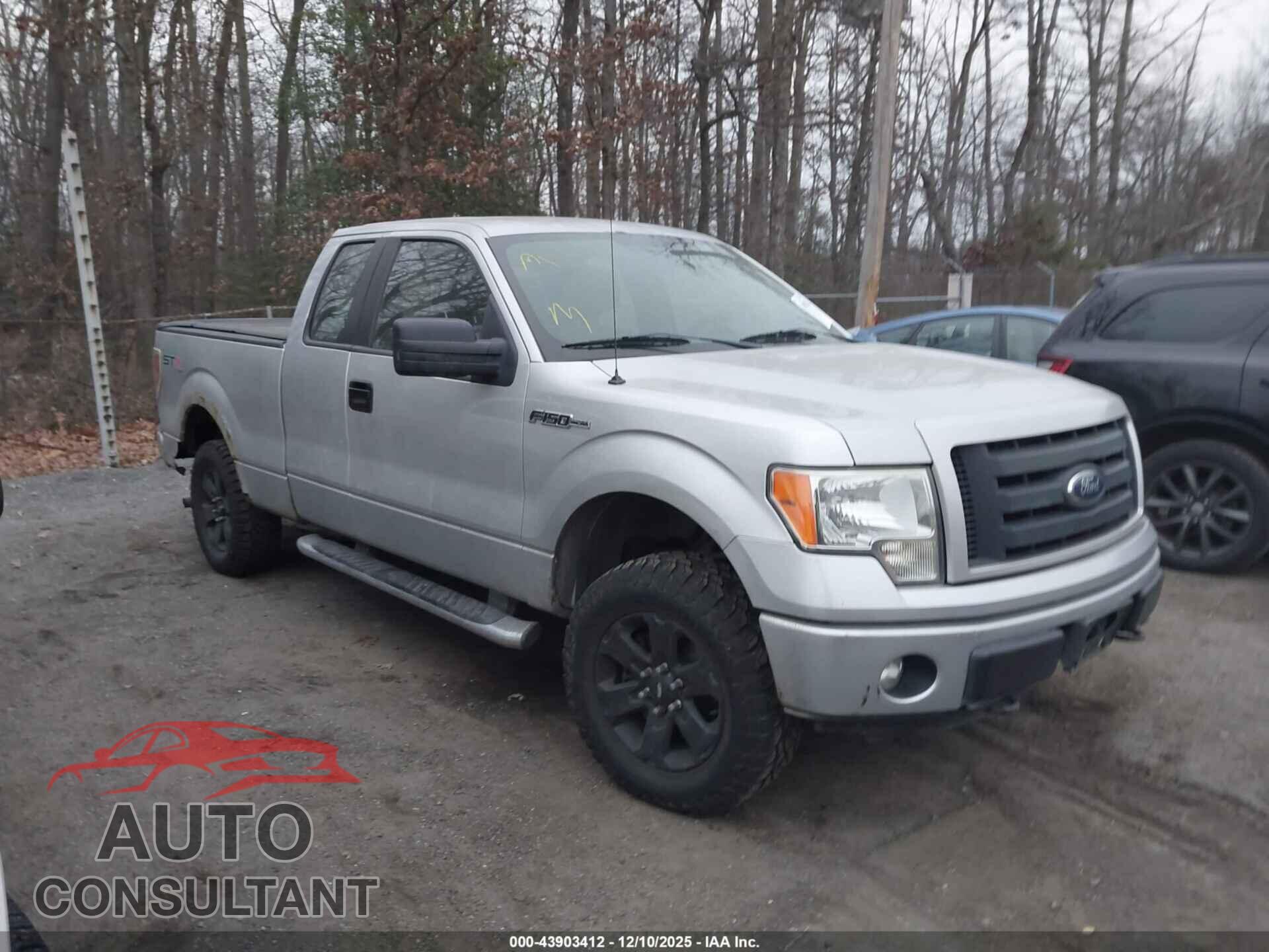 FORD F-150 2011 - 1FTFX1EF0BKE21135