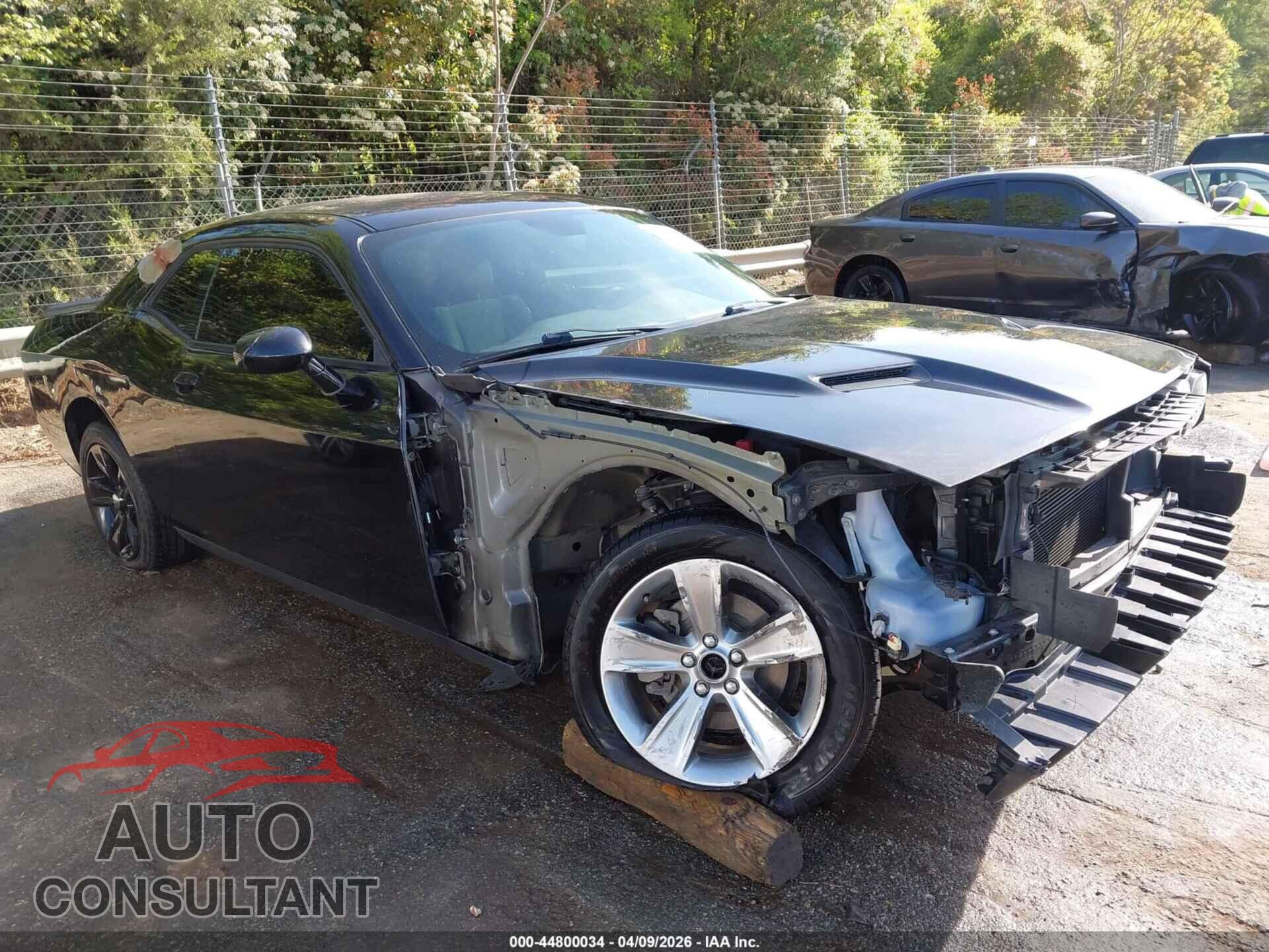 DODGE CHALLENGER 2019 - 2C3CDZAG3KH669335