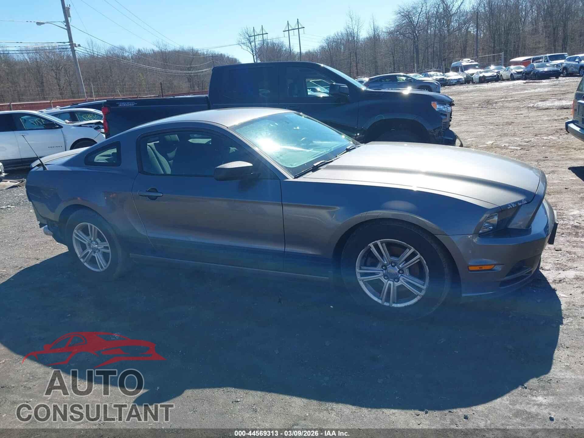 FORD MUSTANG 2013 - 1ZVBP8AM2D5281471