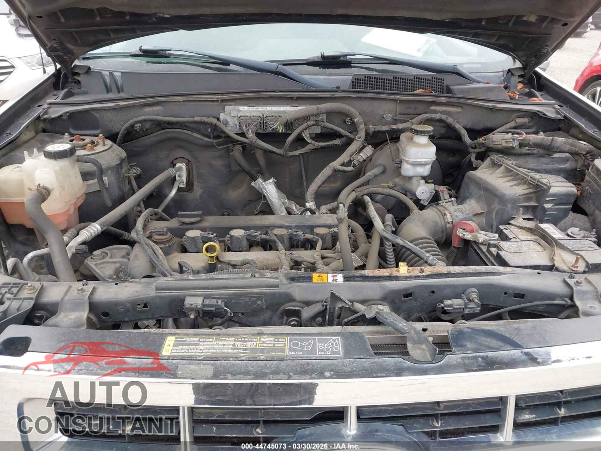 FORD ESCAPE 2011 - 1FMCU0D73BKB11993